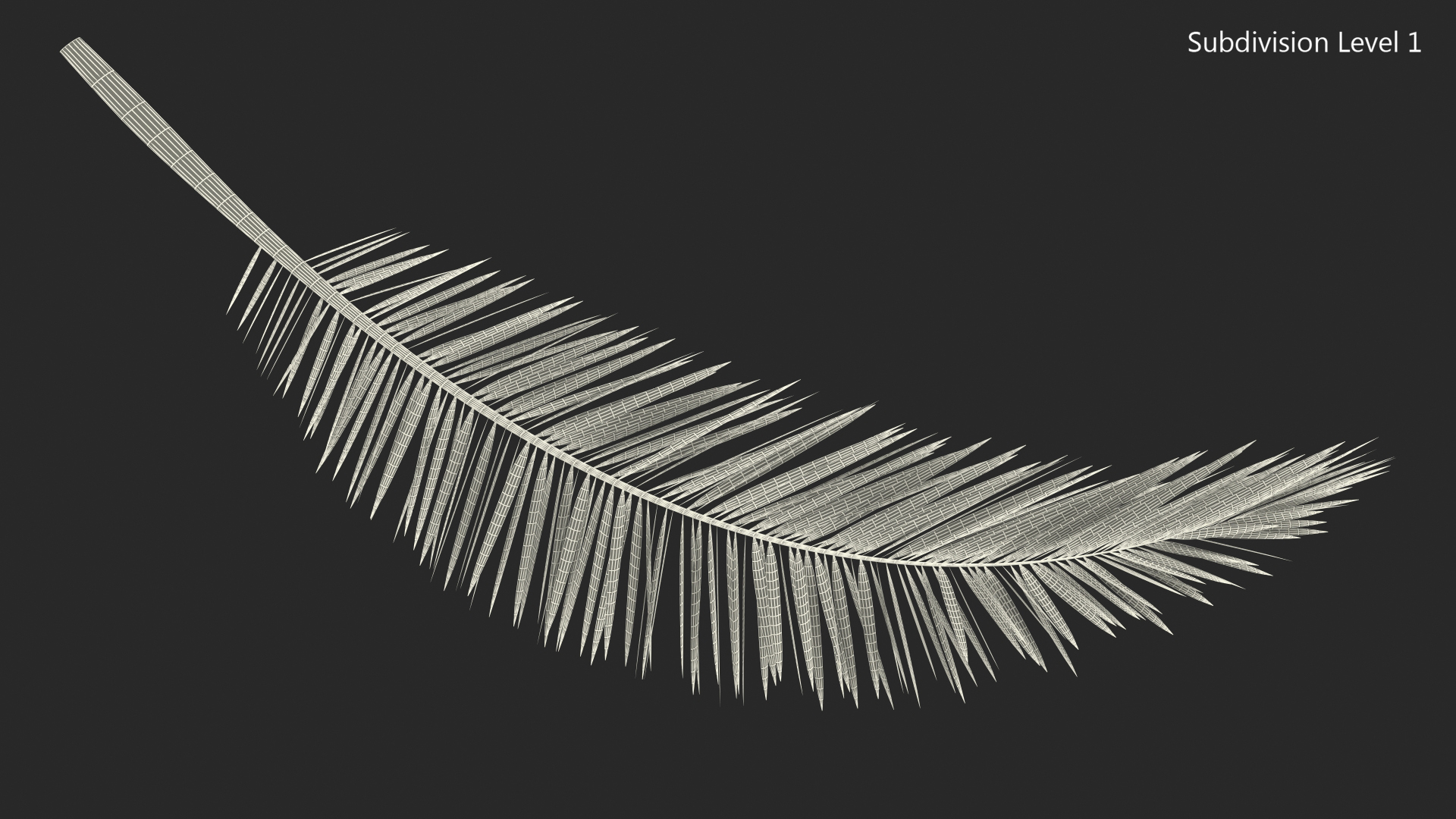 3D Palm Branch