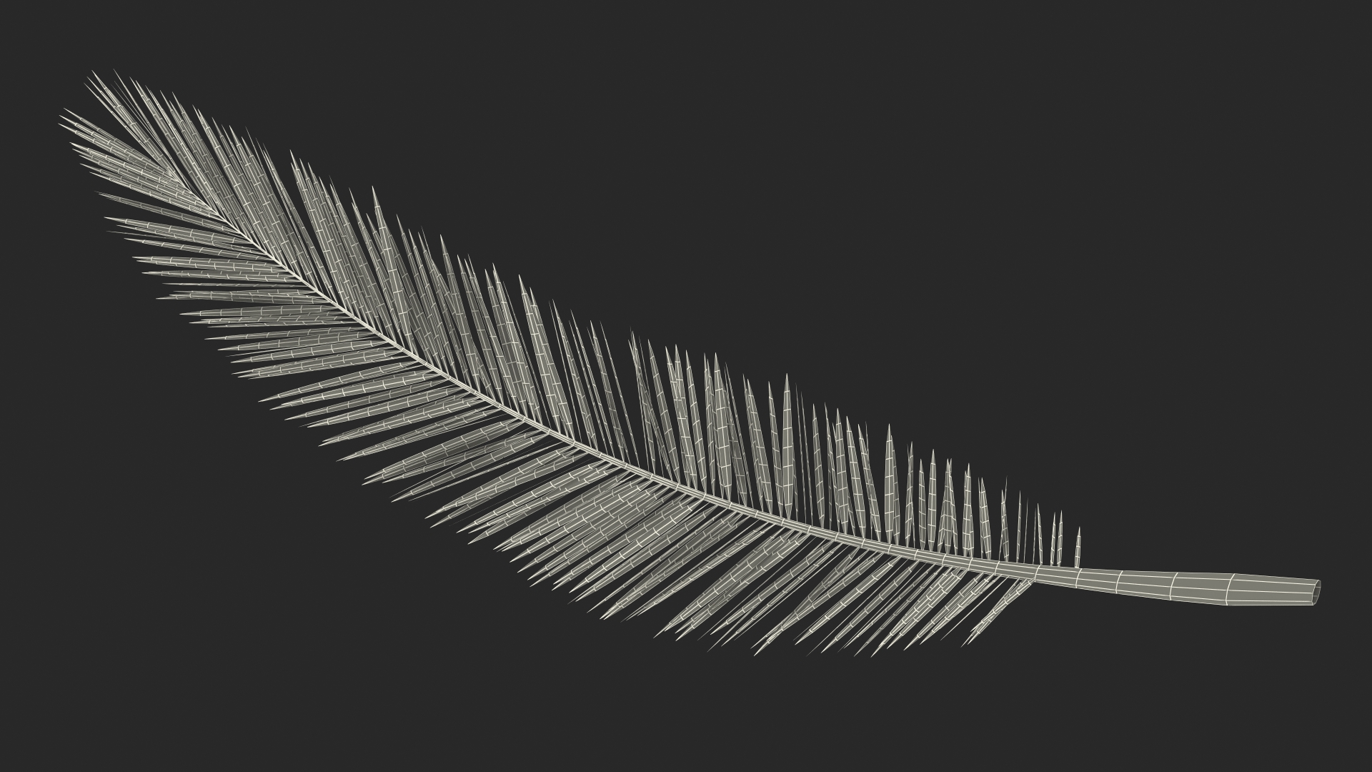 3D Palm Branch