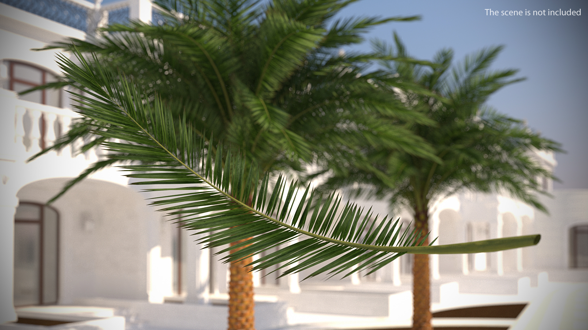 3D Palm Branch