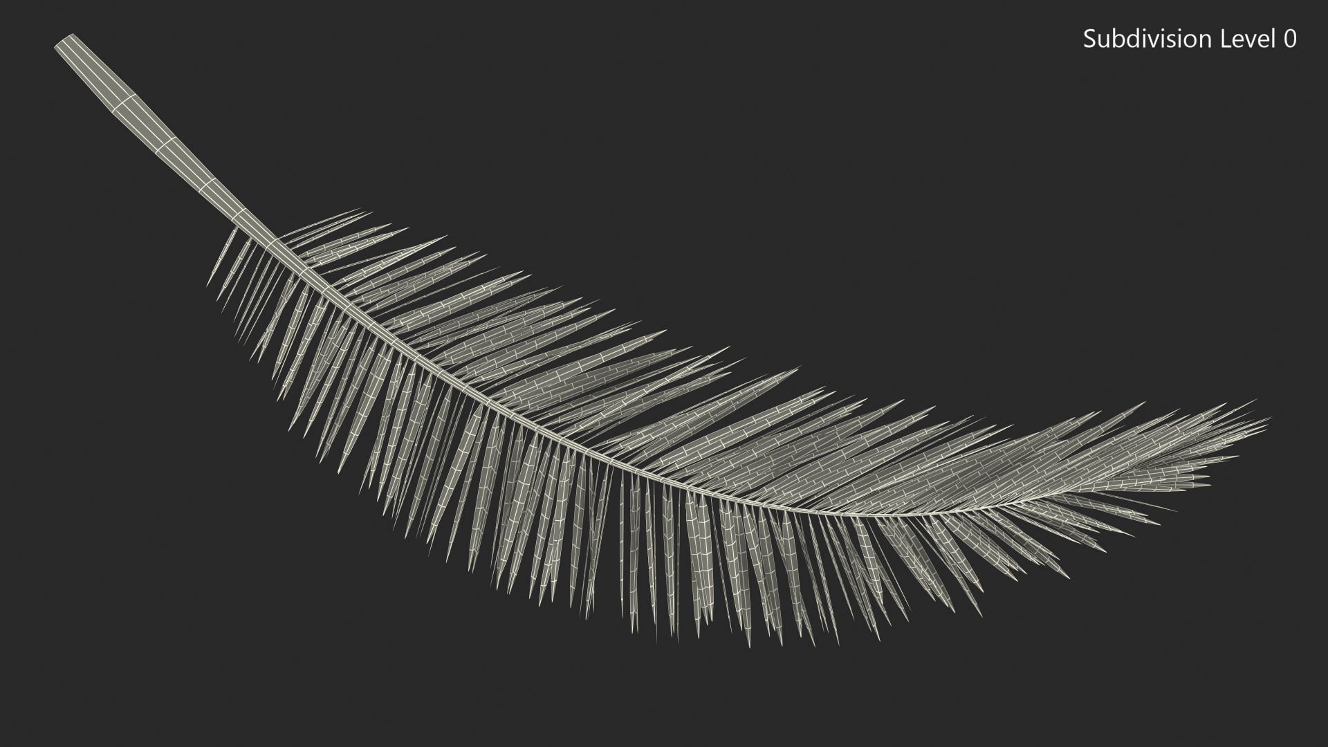 3D Palm Branch