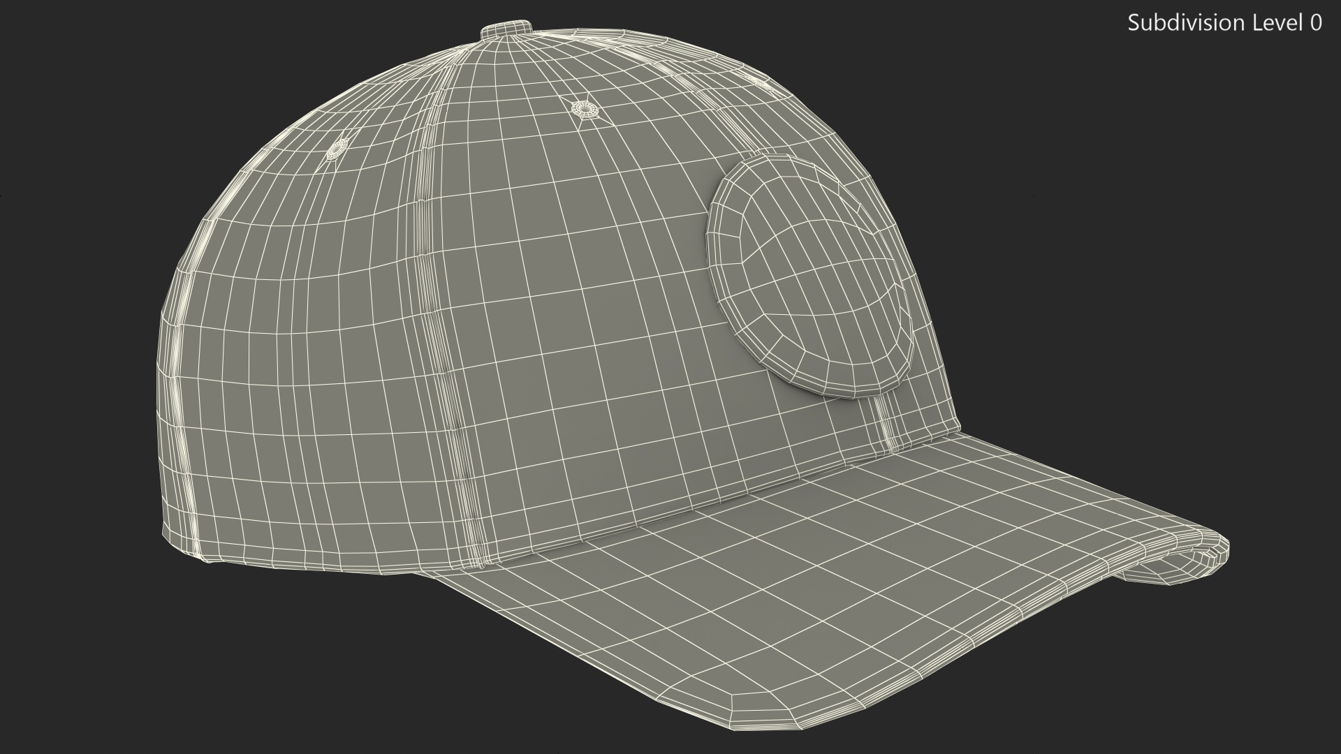 3D Cap for Duck Hunting Grass Camo