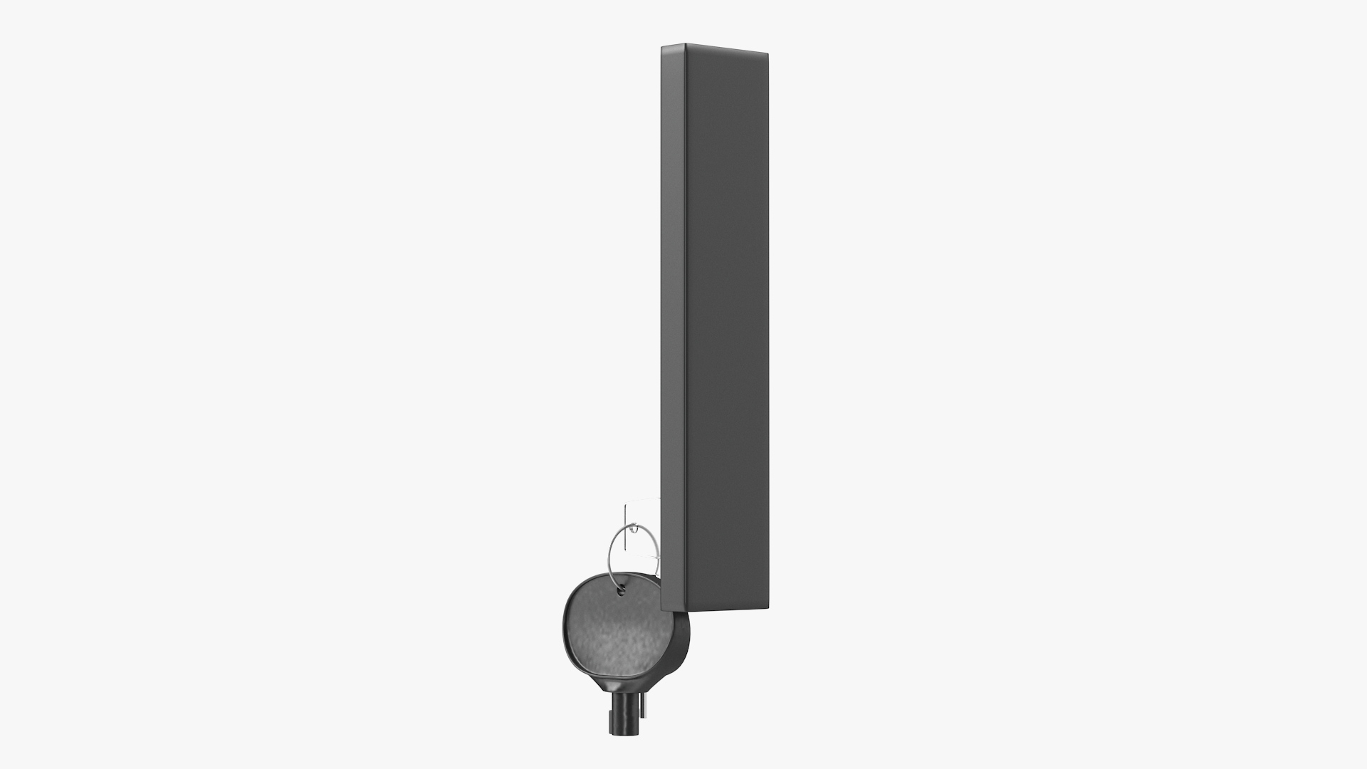 Network Server Keys with Lock 3D model