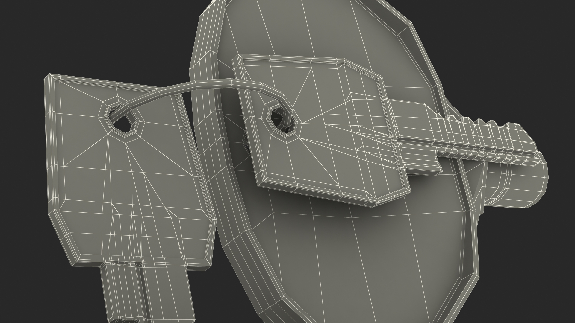 Network Server Keys with Lock 3D model