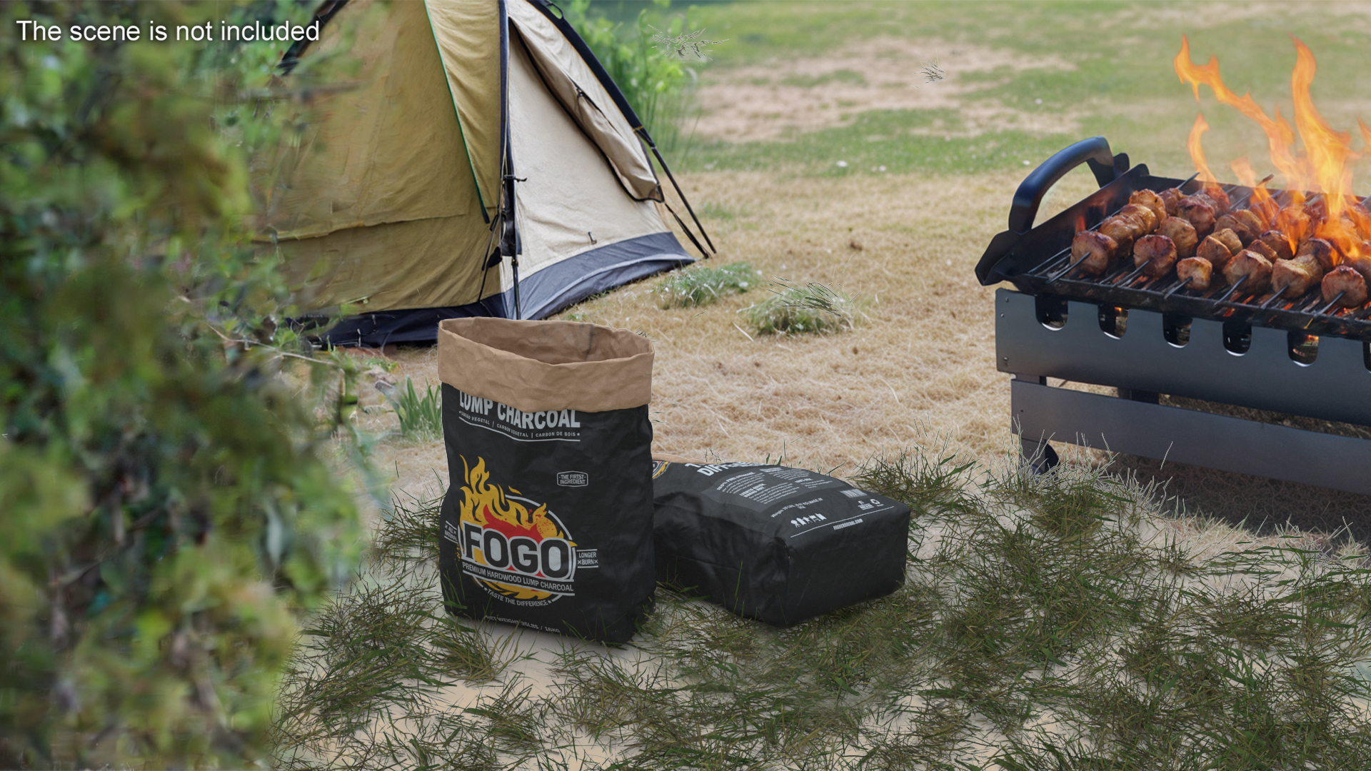 Charcoal Bag Fogo Premium Opened 3D
