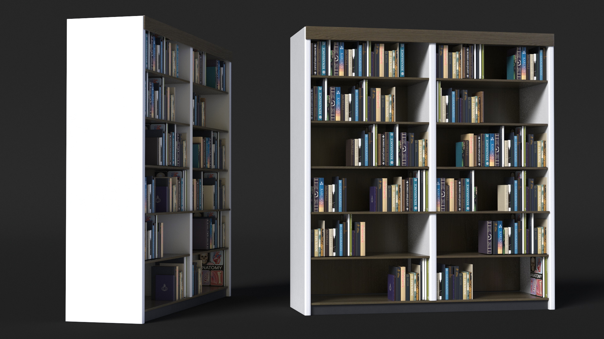 3D model Large Bookshelf