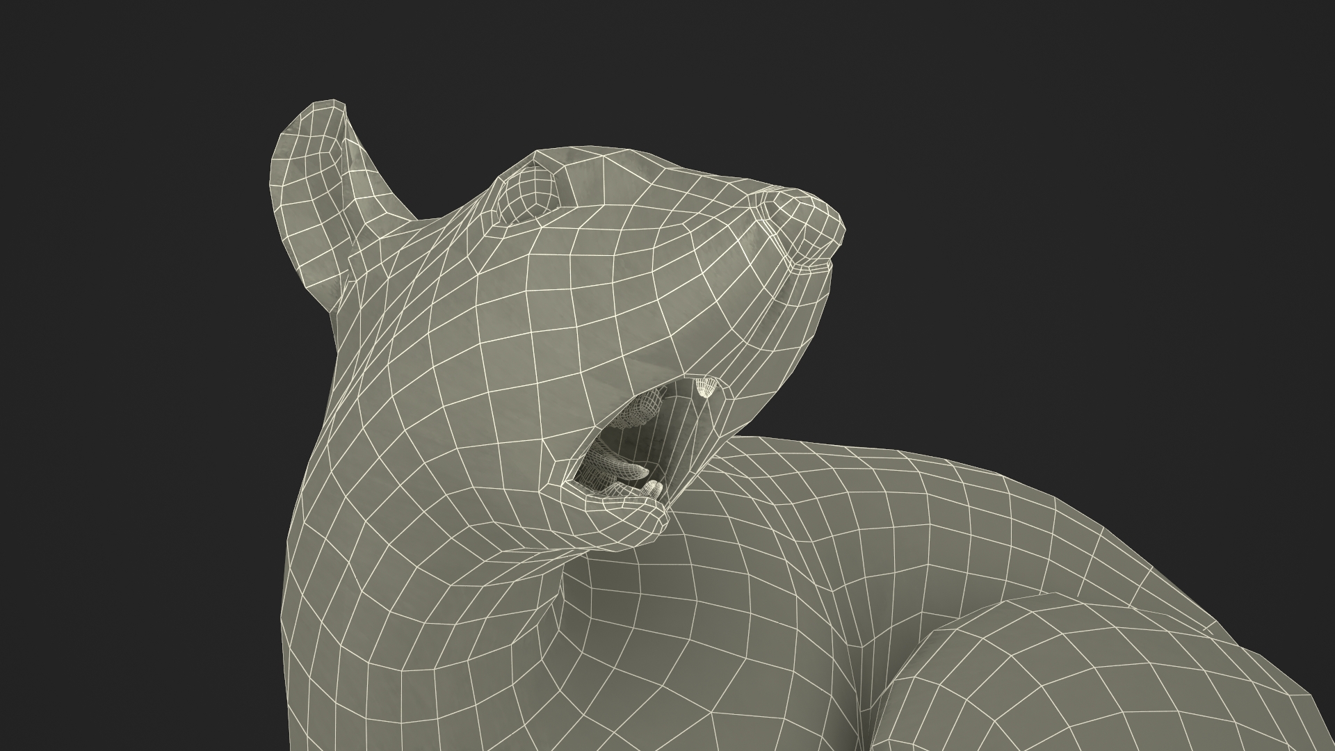 Gray Squirrel Fur Rigged 3D model