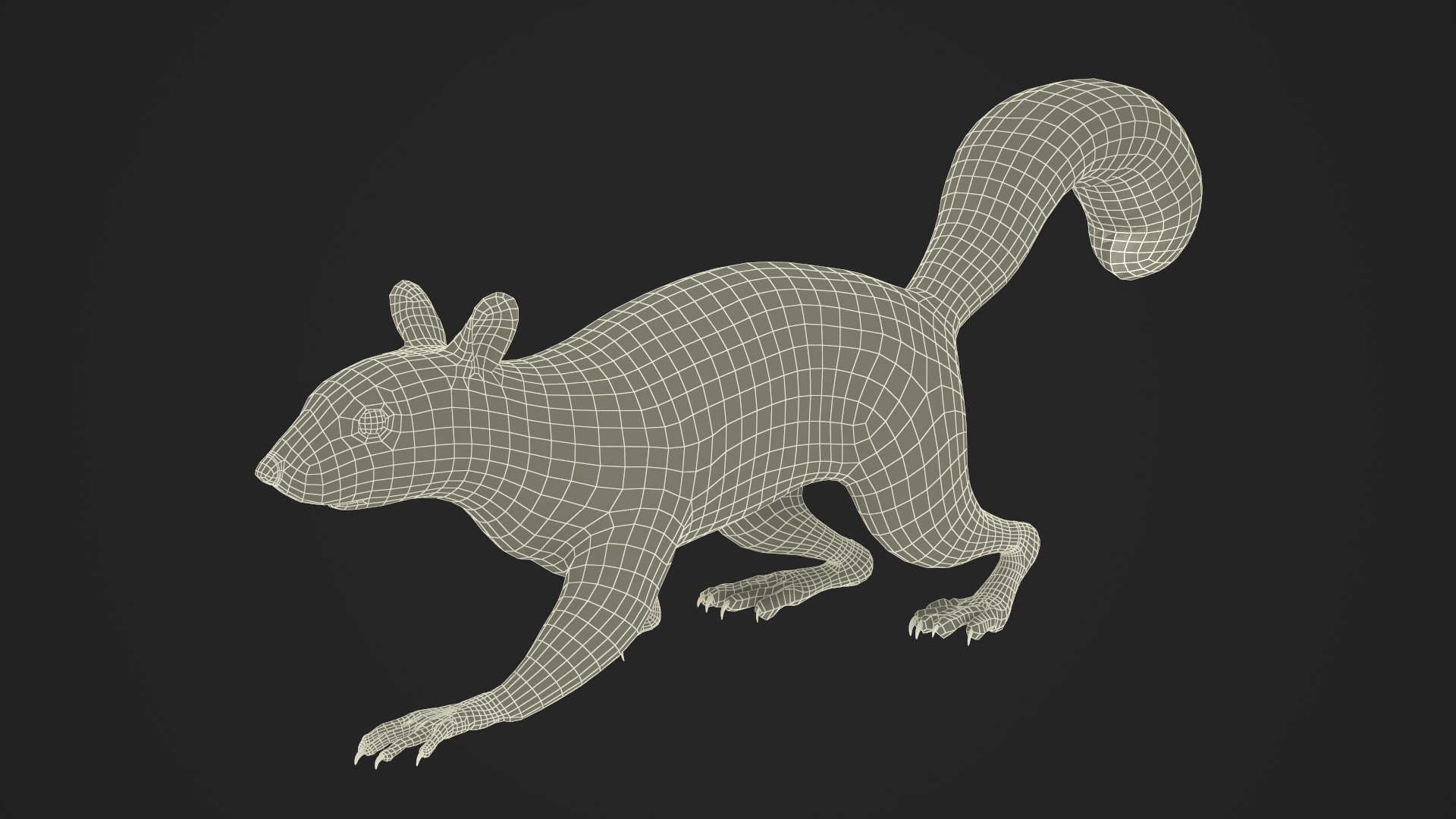 Gray Squirrel Fur Rigged 3D model