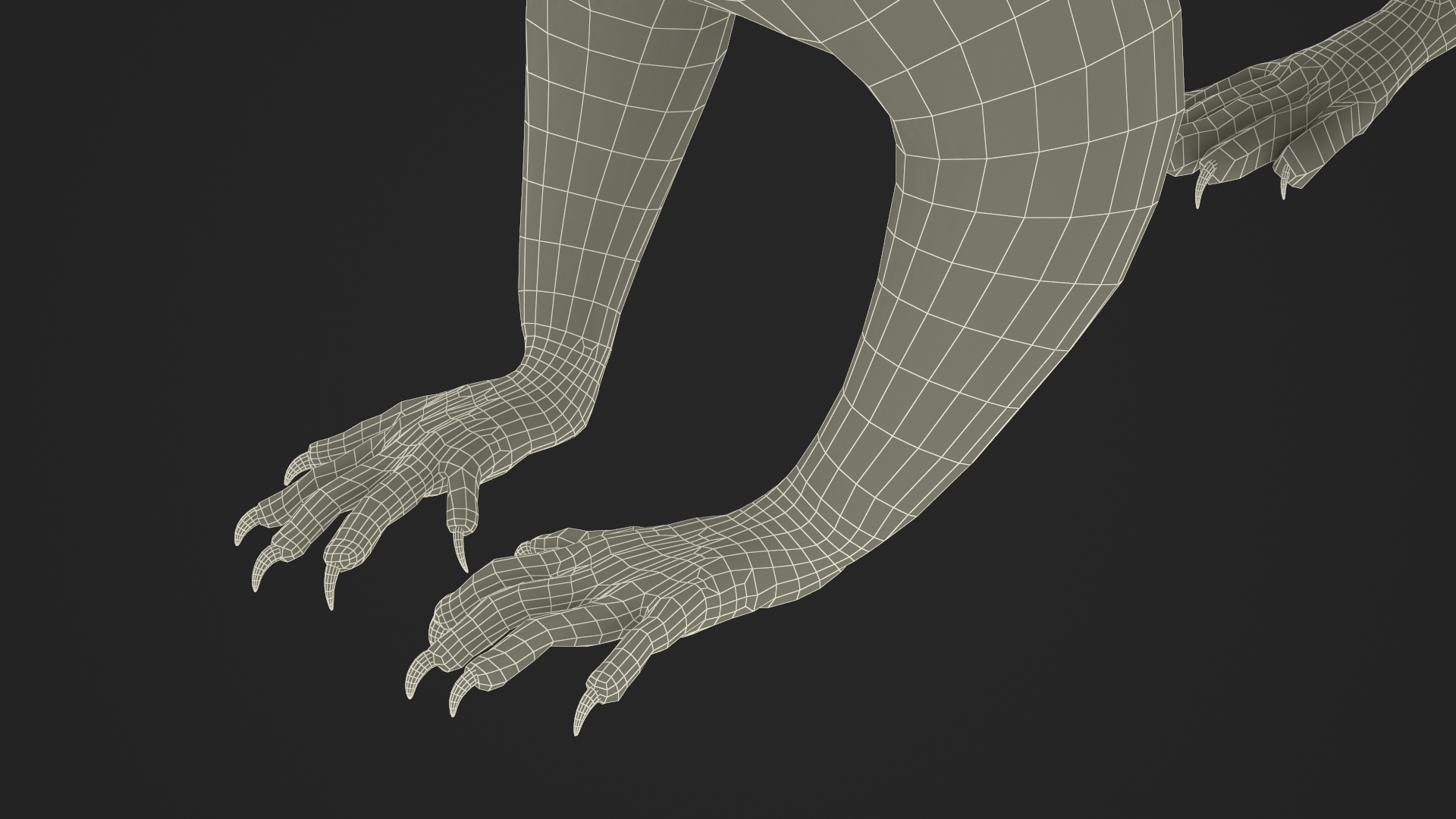 Gray Squirrel Fur Rigged 3D model