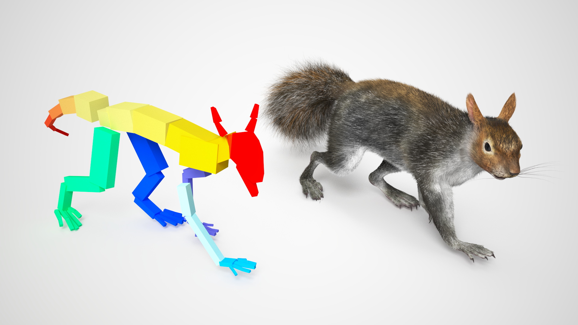 Gray Squirrel Fur Rigged 3D model