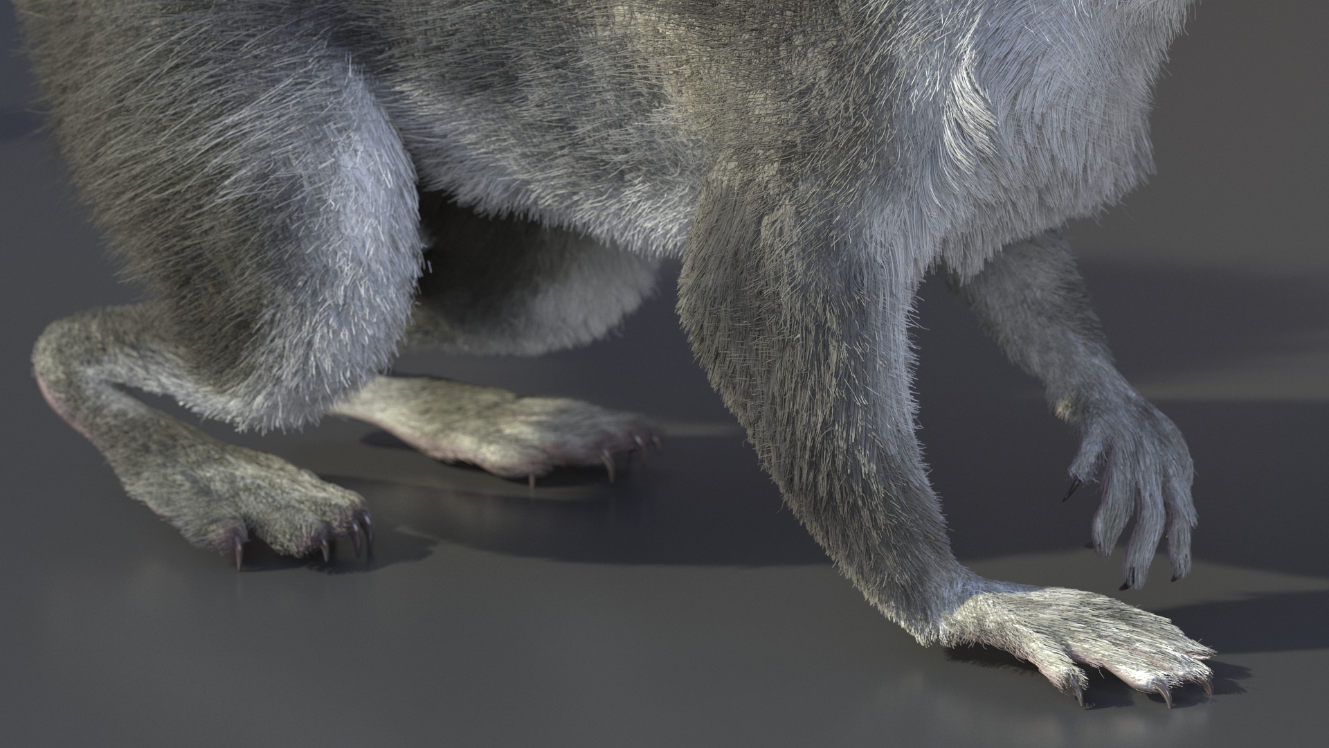 Gray Squirrel Fur Rigged 3D model