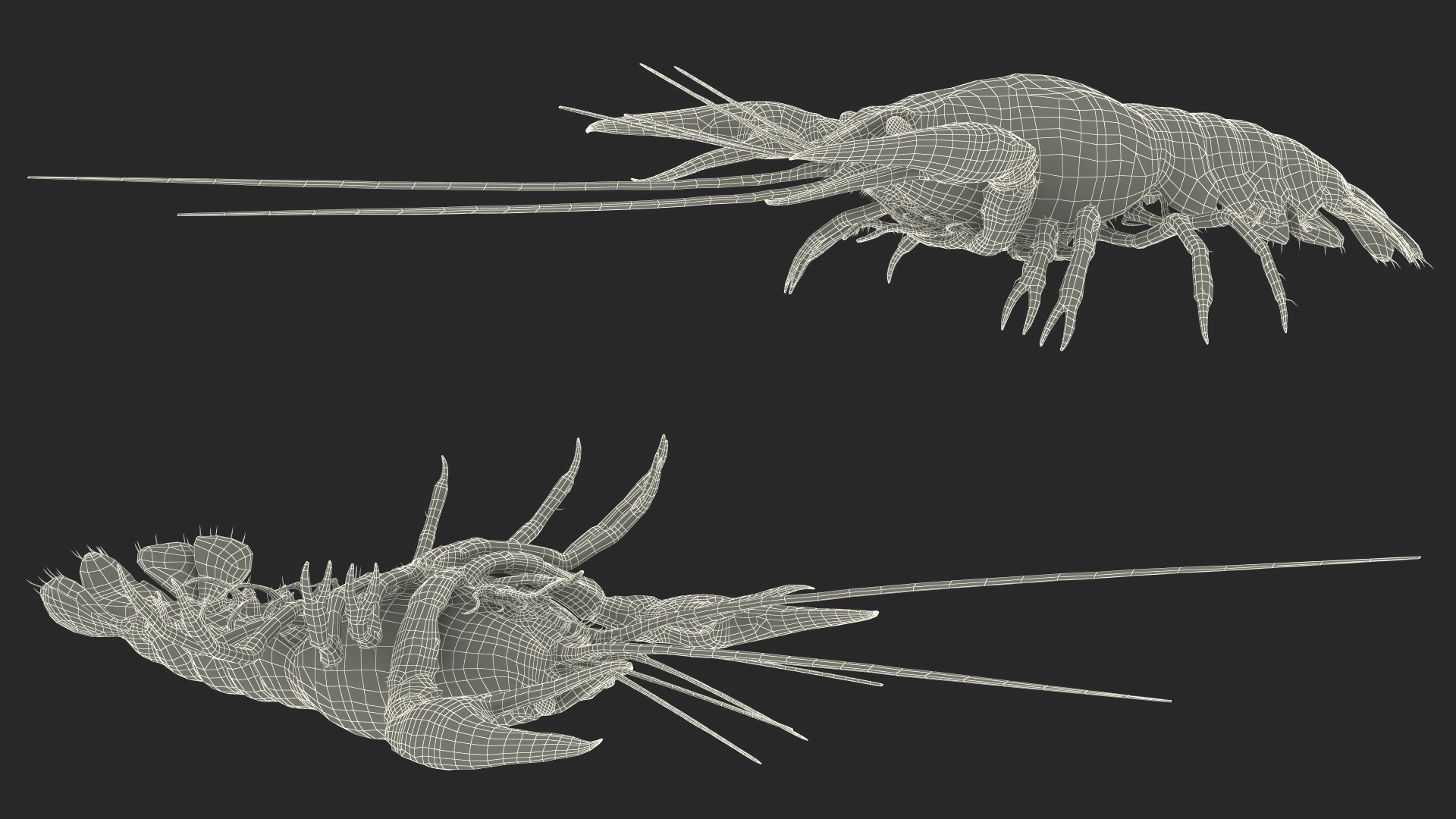 Crawfish Boiled Rigged 3D