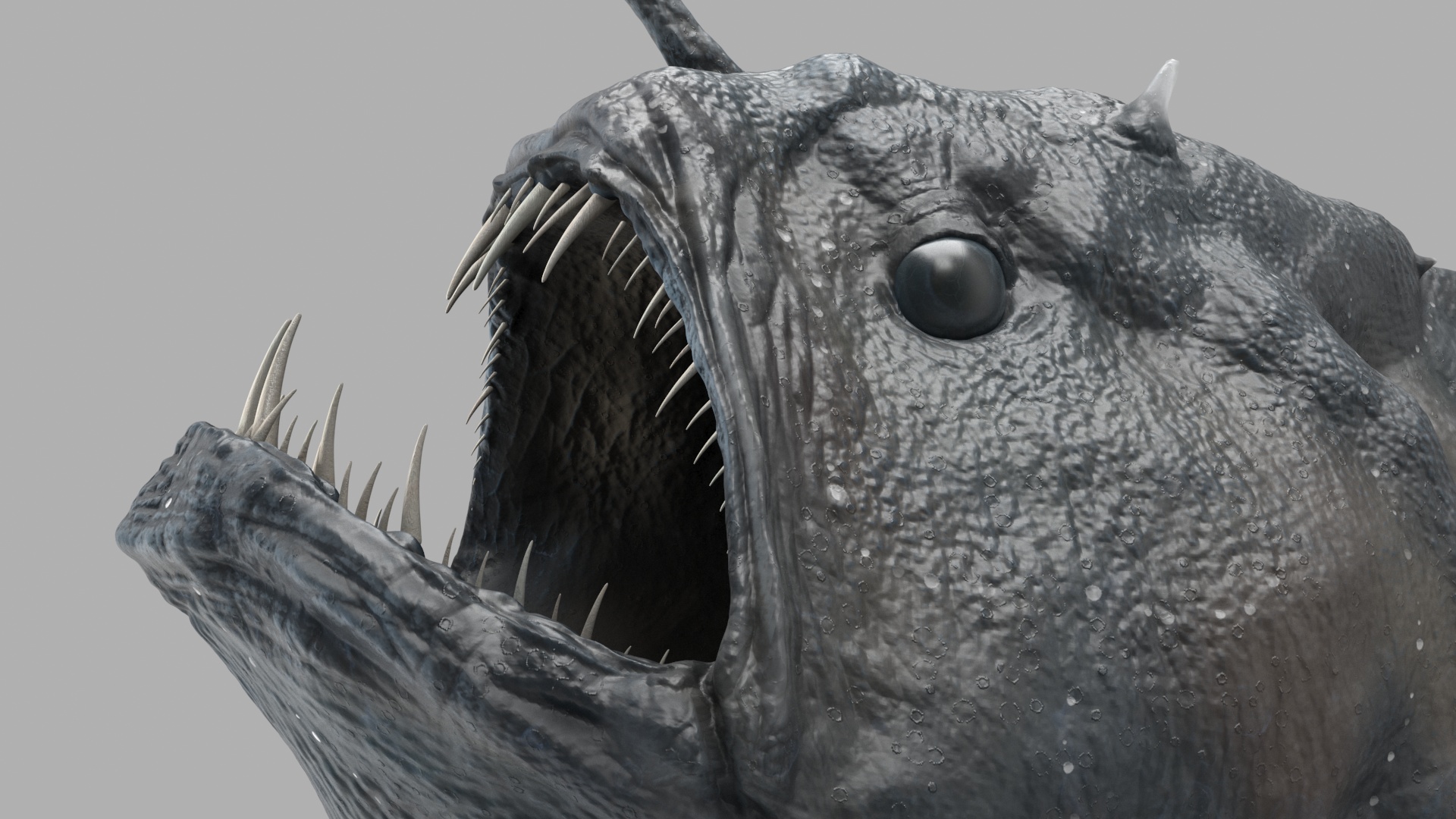 3D model Anglerfish