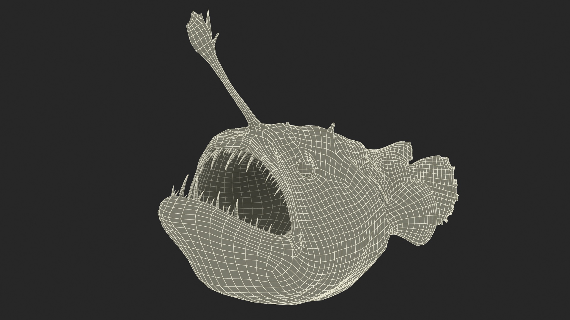 3D model Anglerfish