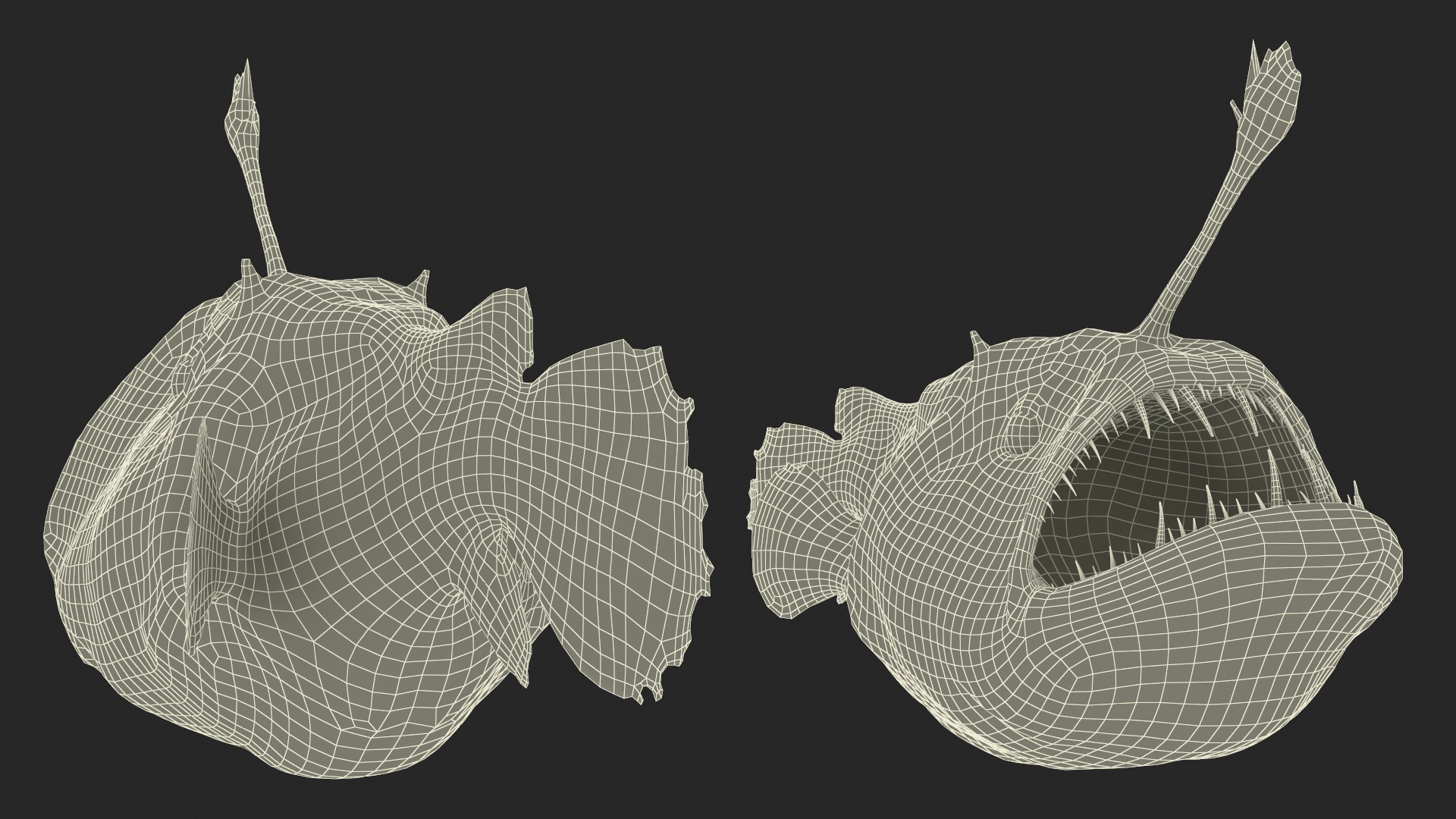 3D model Anglerfish