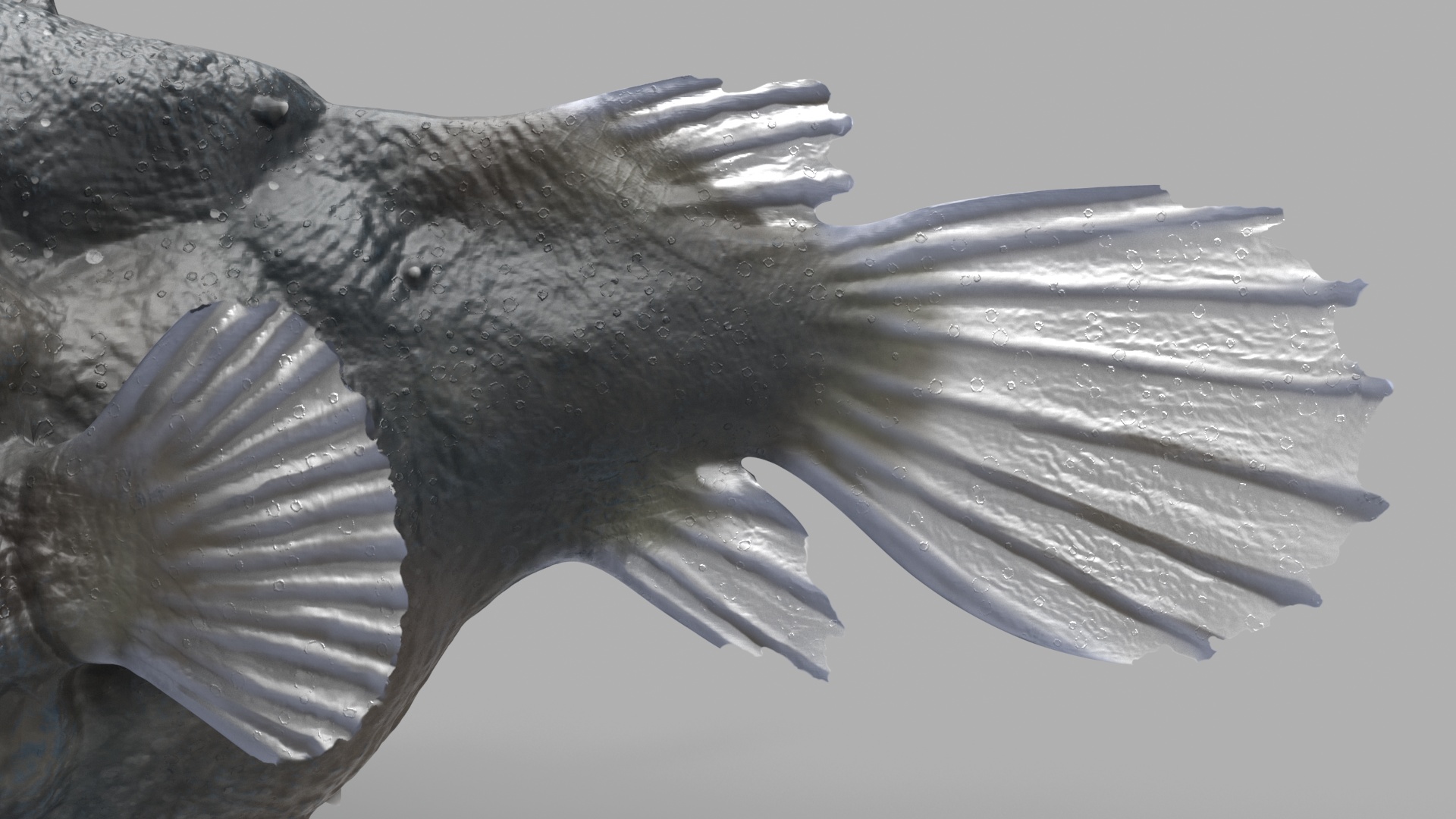 3D model Anglerfish