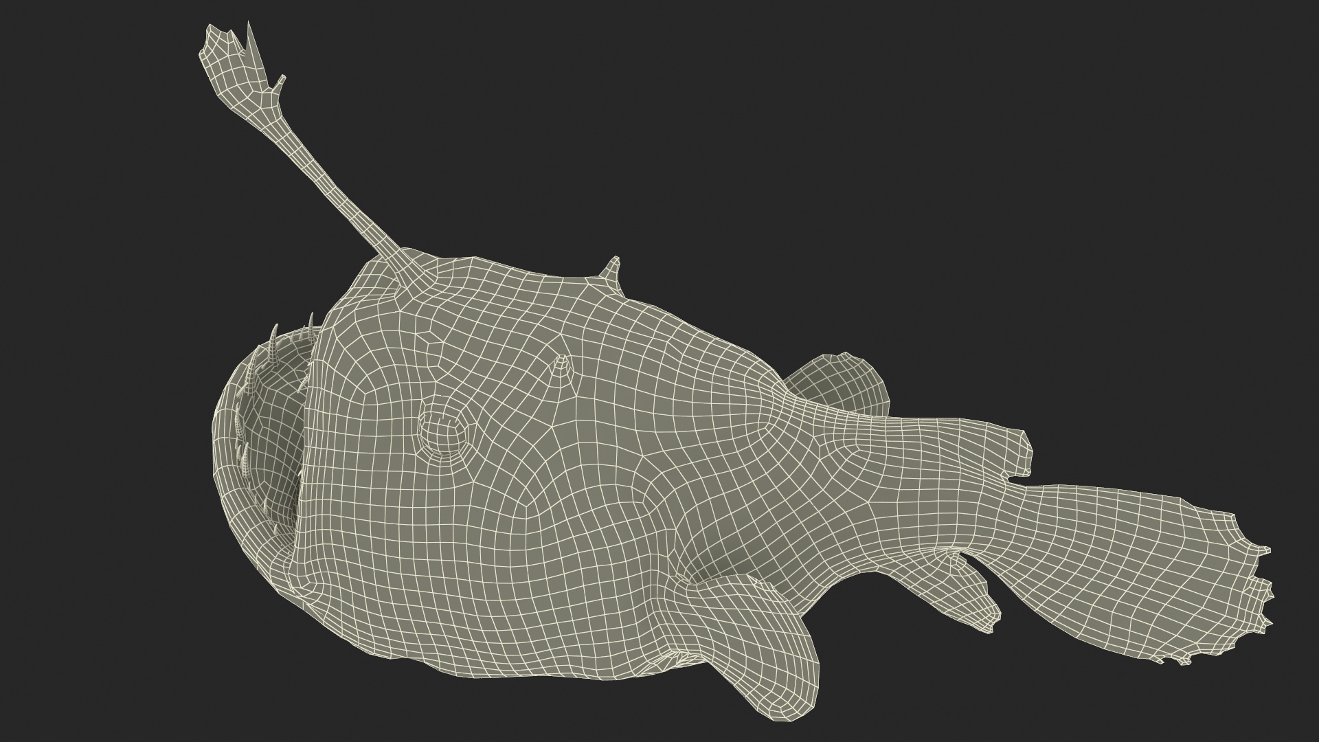 3D model Anglerfish