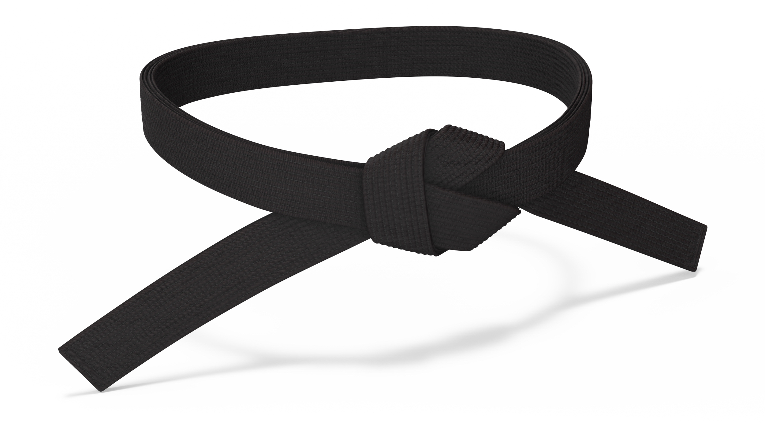 Black Martial Arts Waist Belt 3D model