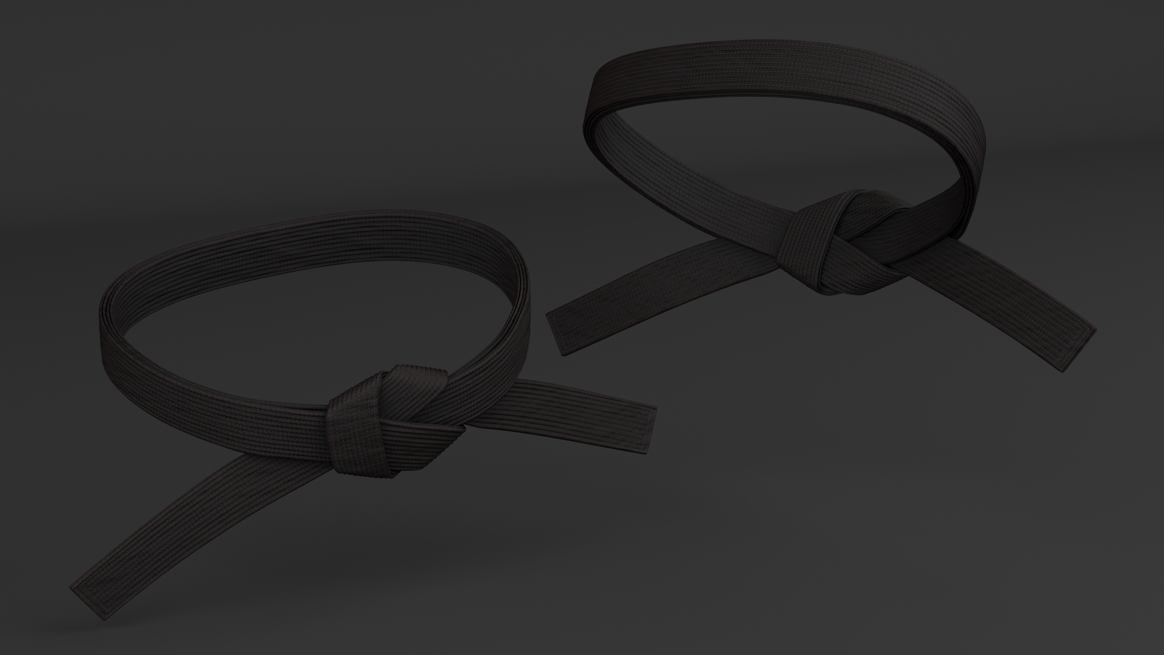 Black Martial Arts Waist Belt 3D model