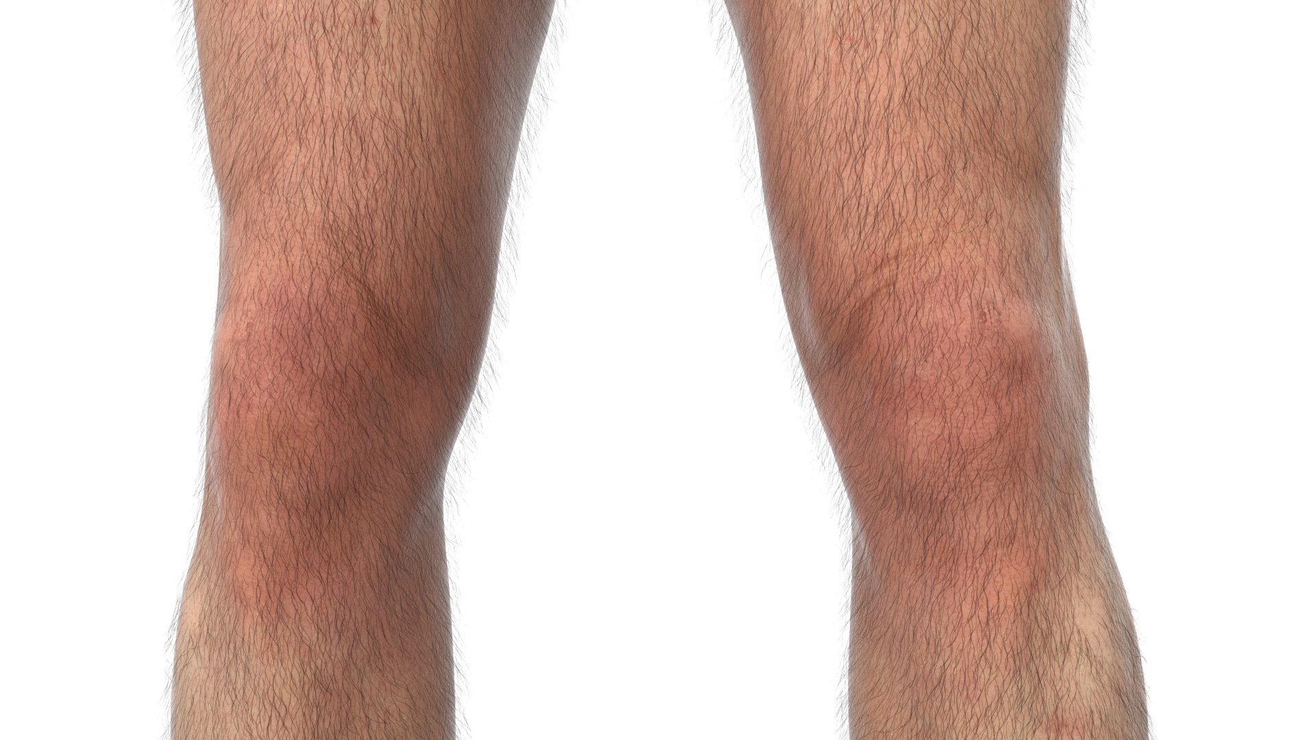 3D model Realistic Human Male Legs