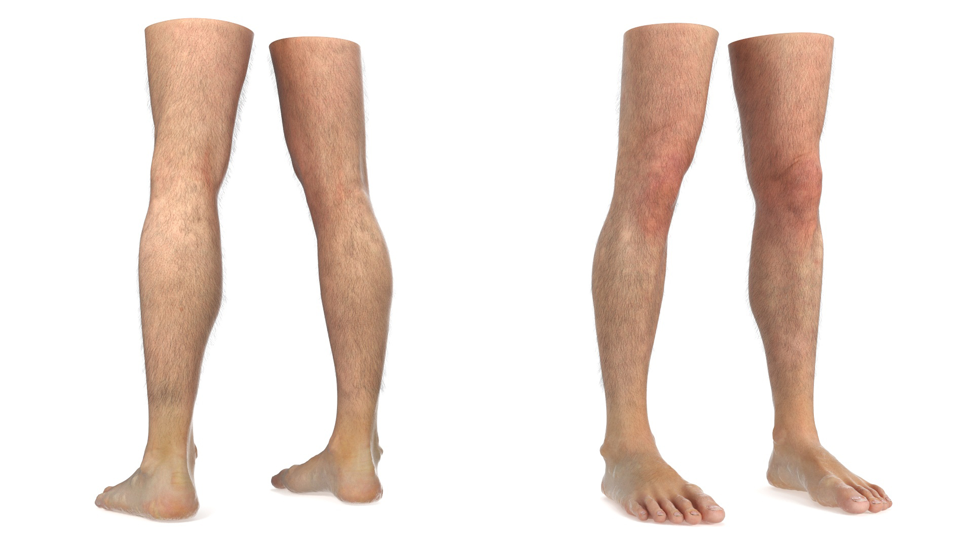 3D model Realistic Human Male Legs