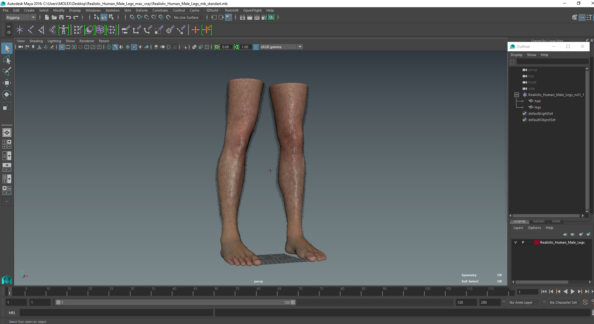 3D model Realistic Human Male Legs