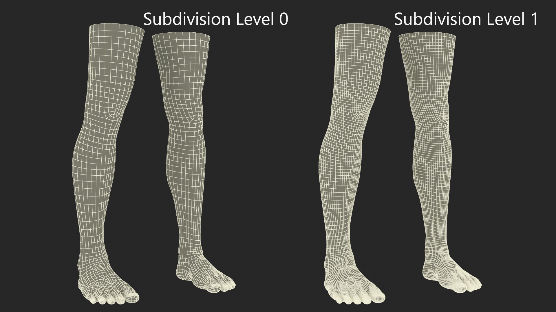 3D model Realistic Human Male Legs