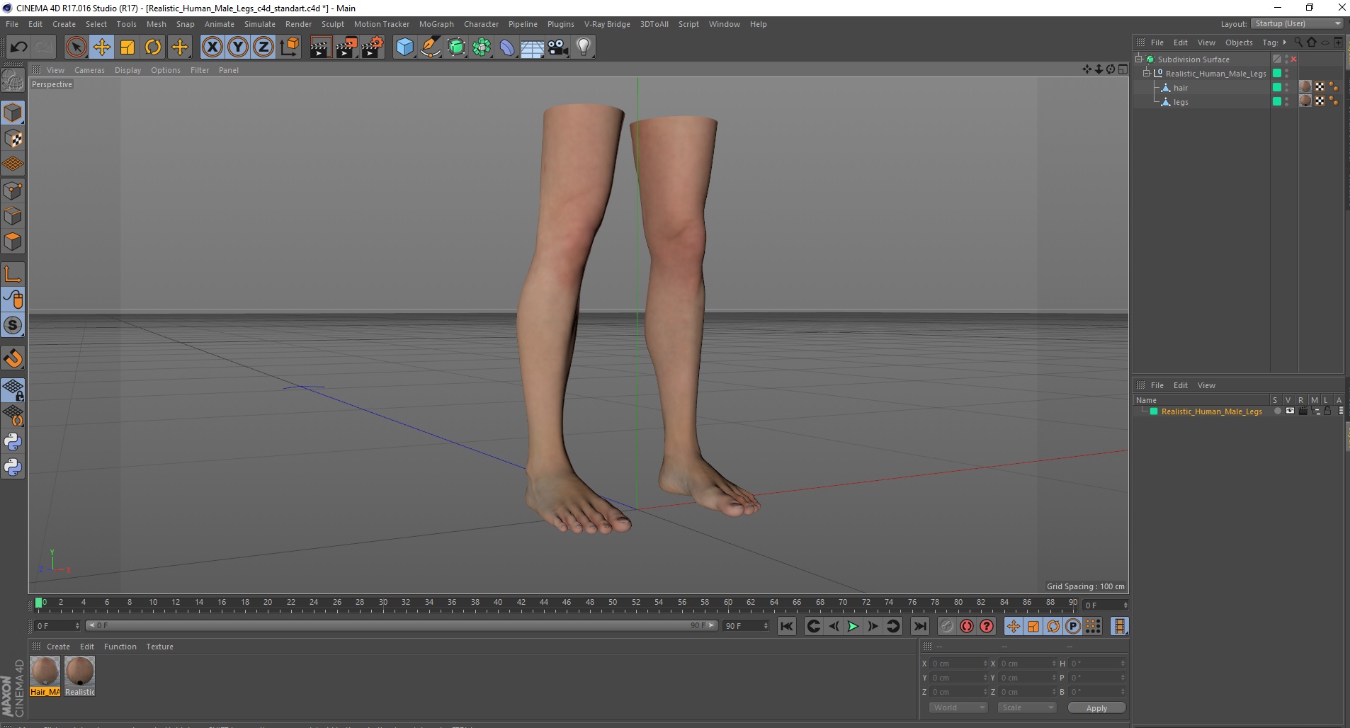 3D model Realistic Human Male Legs