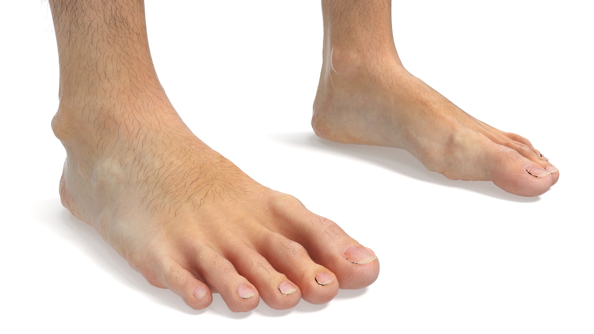 3D model Realistic Human Male Legs