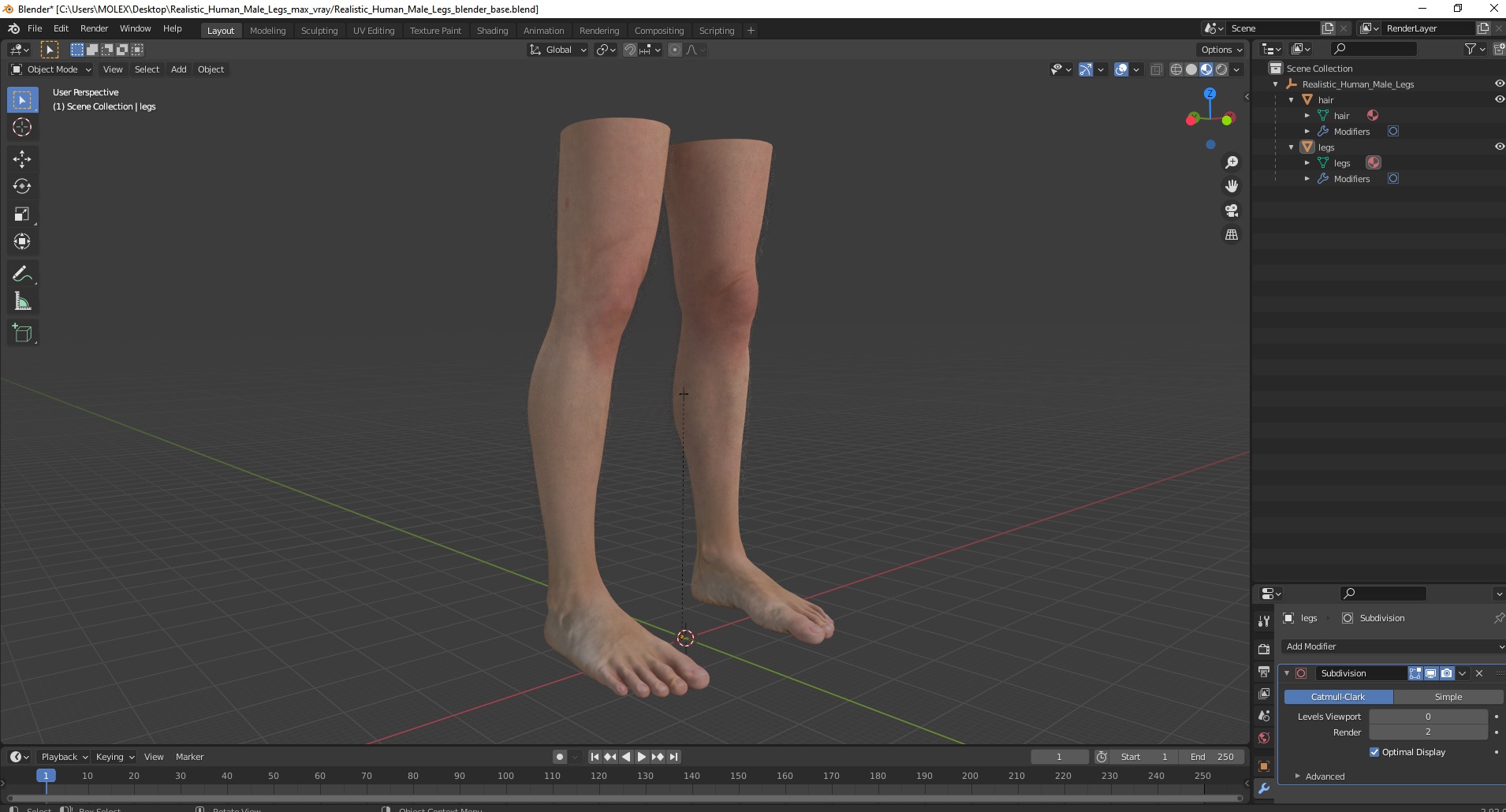 3D model Realistic Human Male Legs