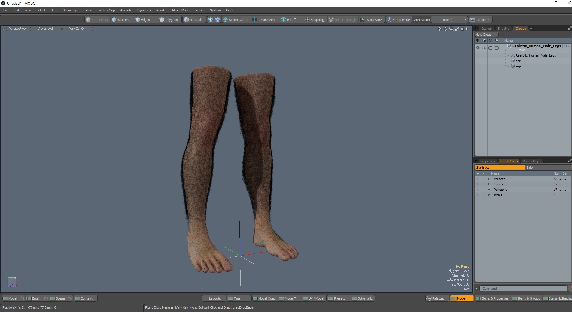 3D model Realistic Human Male Legs