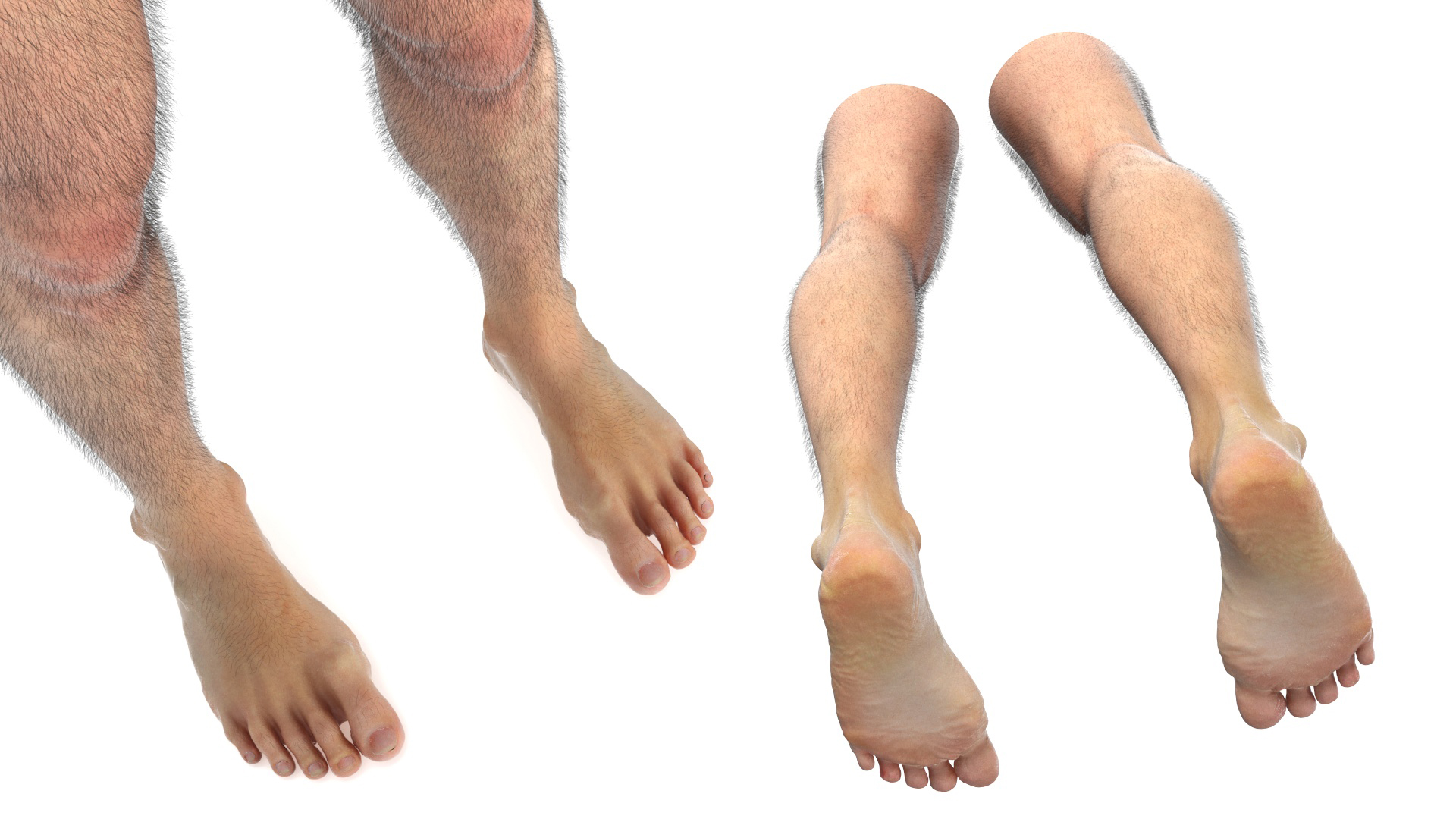 3D model Realistic Human Male Legs