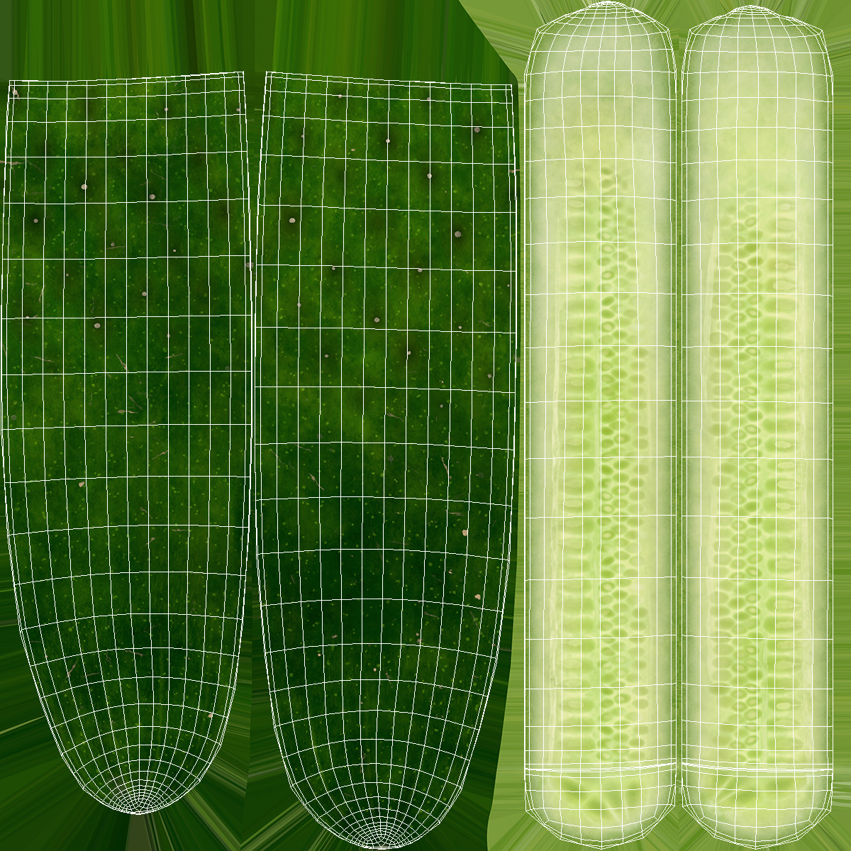 Cucumber Two Halves 3D model