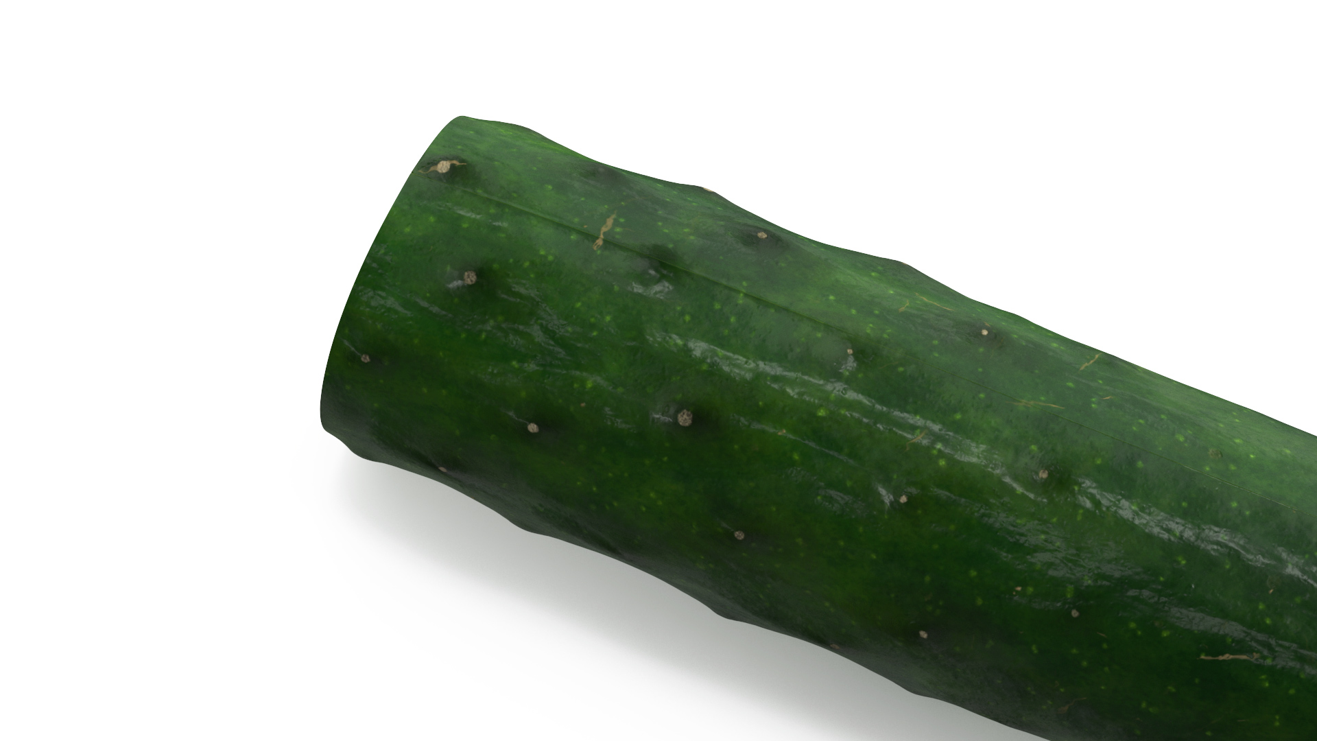 Cucumber Two Halves 3D model