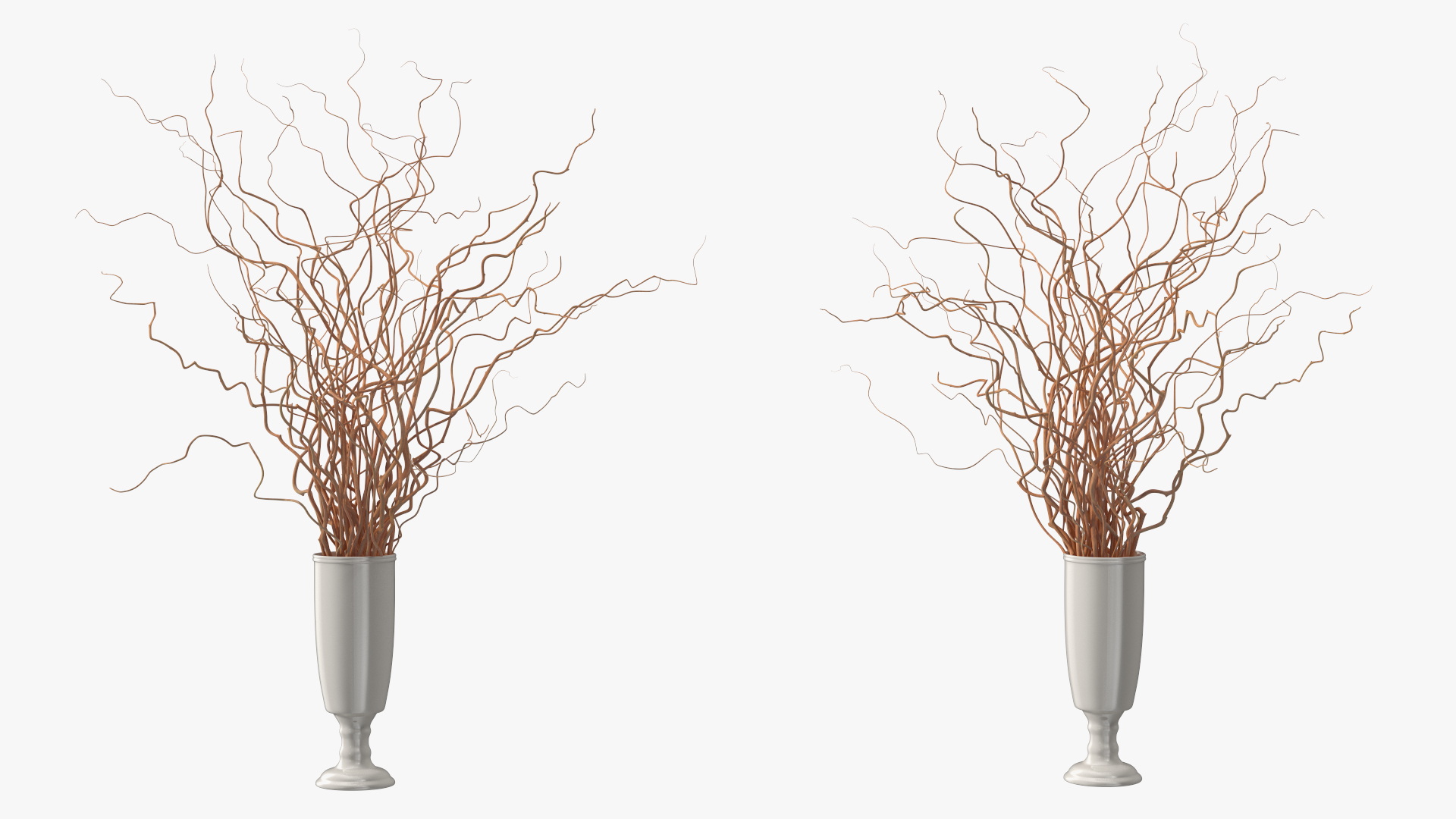 Dried Natural Curly Willow in Porcelain Vase 3D model