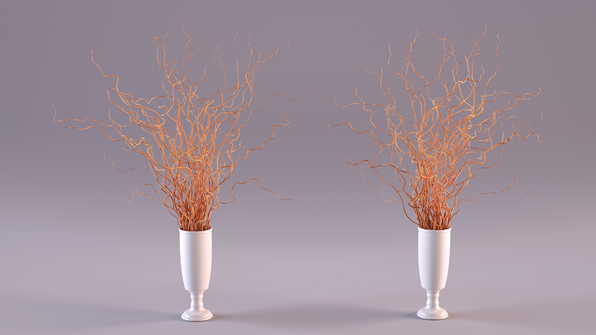 Dried Natural Curly Willow in Porcelain Vase 3D model