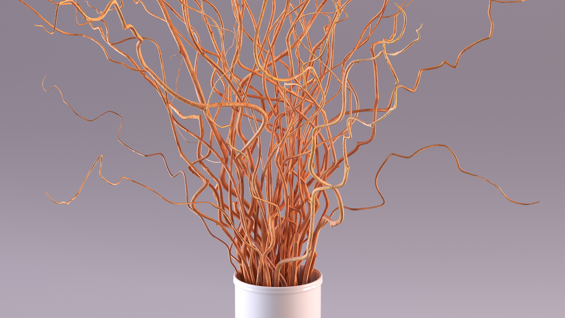 Dried Natural Curly Willow in Porcelain Vase 3D model