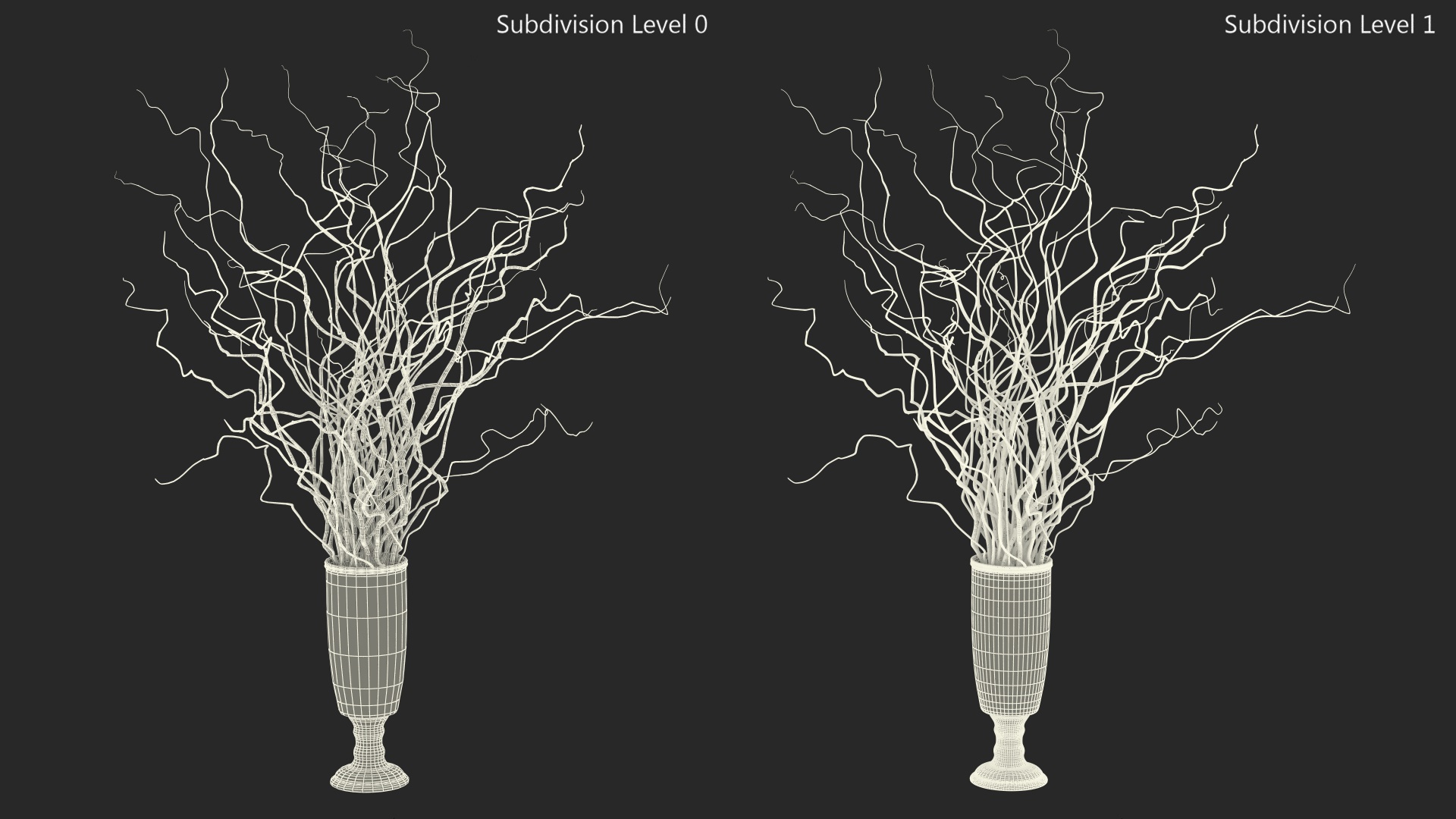 Dried Natural Curly Willow in Porcelain Vase 3D model