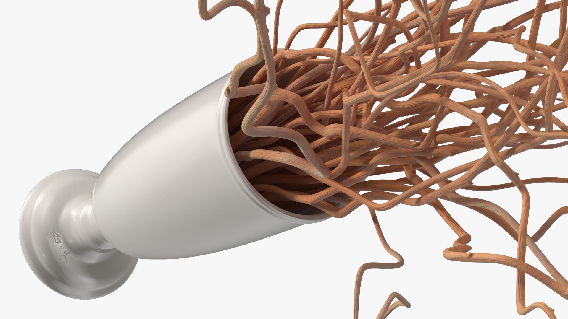 Dried Natural Curly Willow in Porcelain Vase 3D model