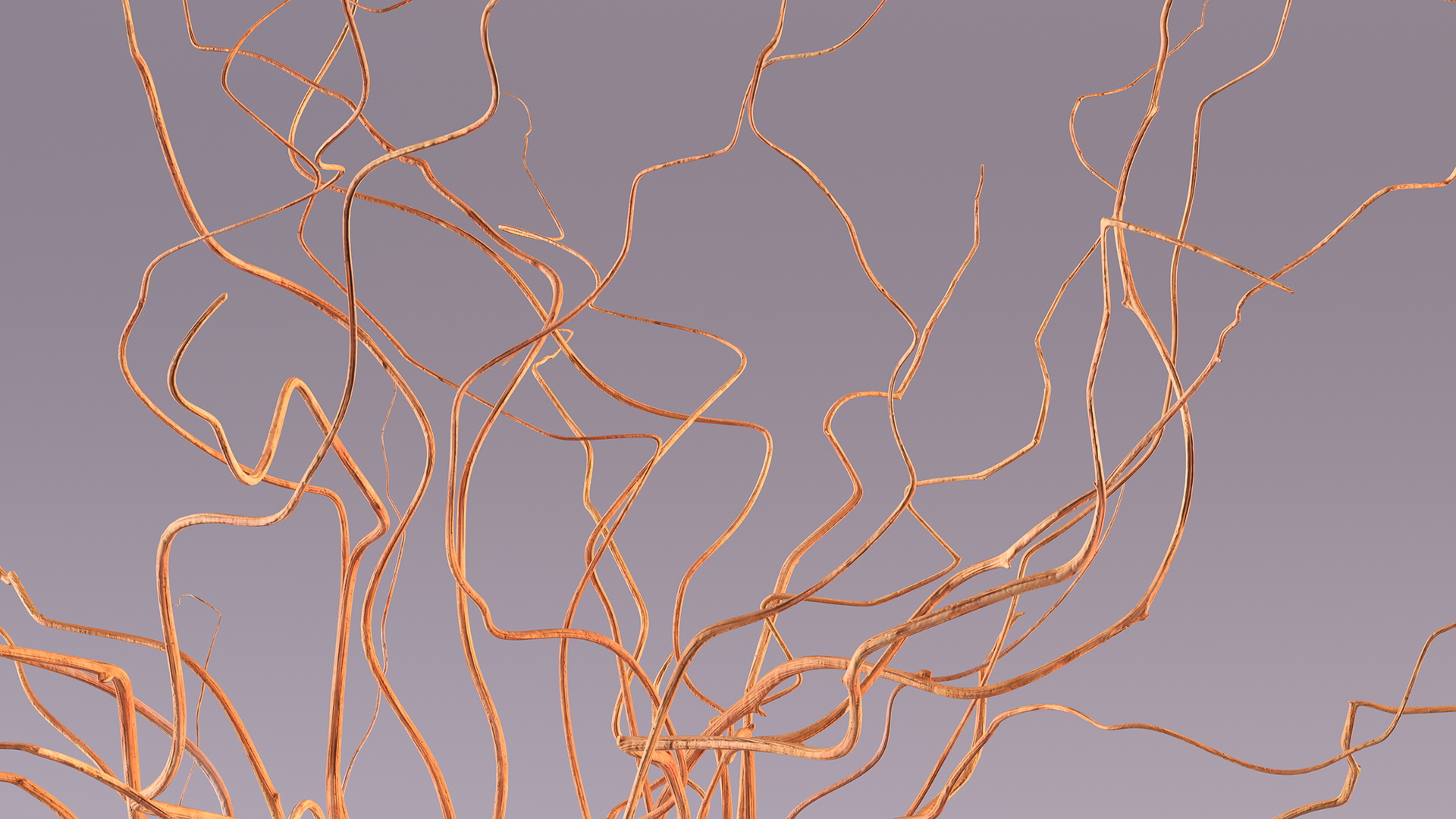 Dried Natural Curly Willow in Porcelain Vase 3D model