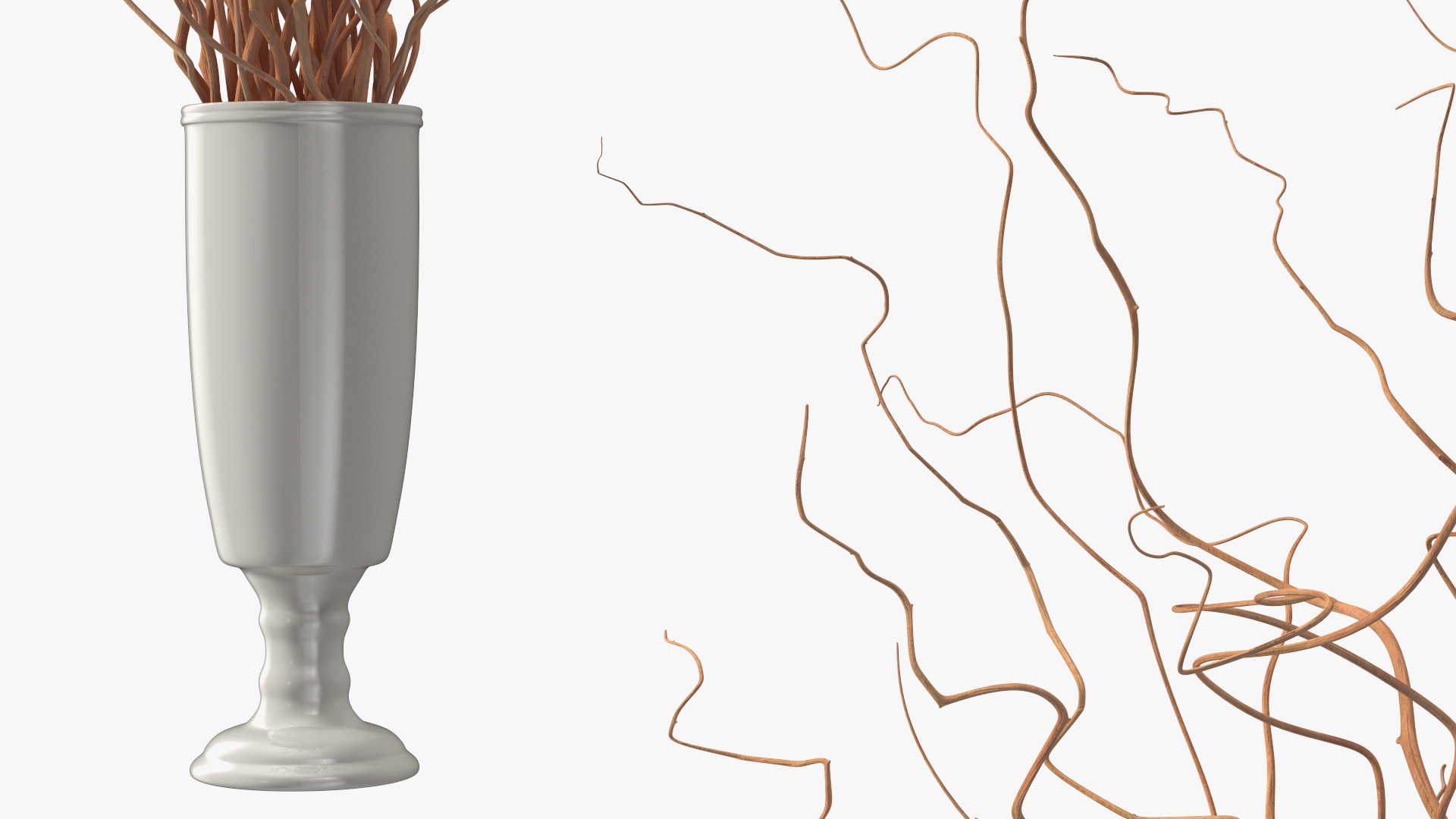 Dried Natural Curly Willow in Porcelain Vase 3D model