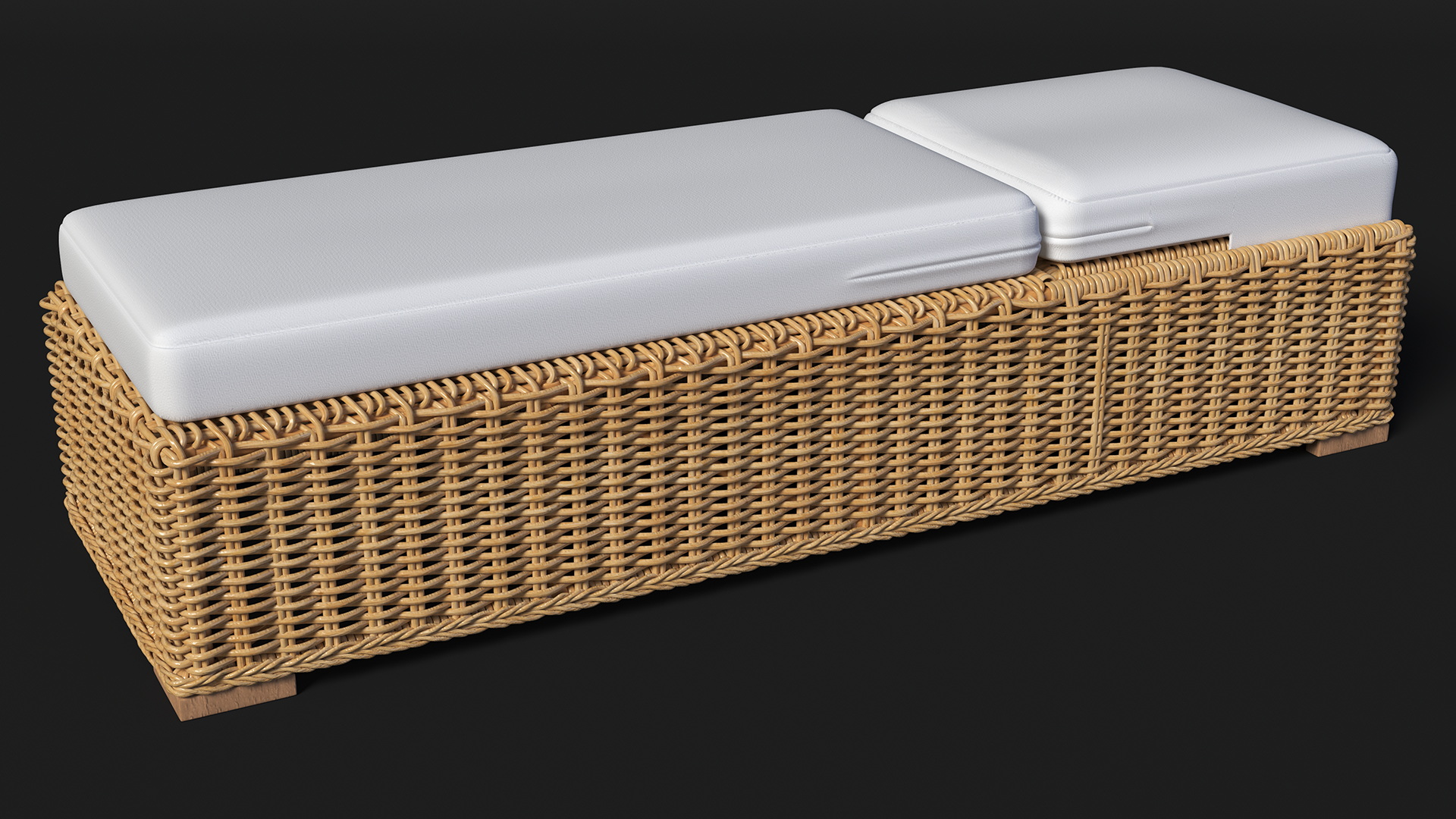 Poolside Reclining Lounge Chaise 3D