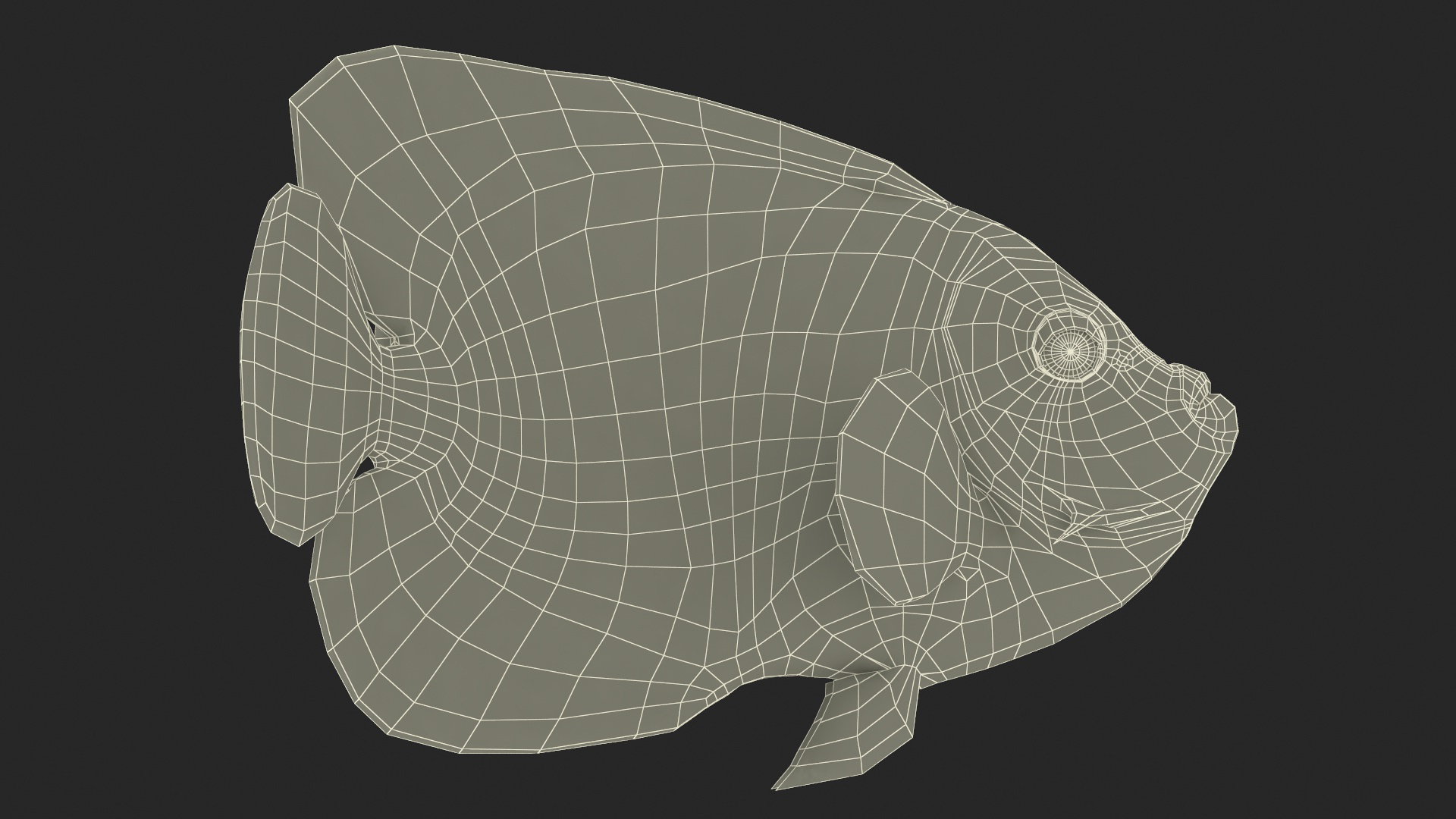Emperor Angelfish Rigged 3D model