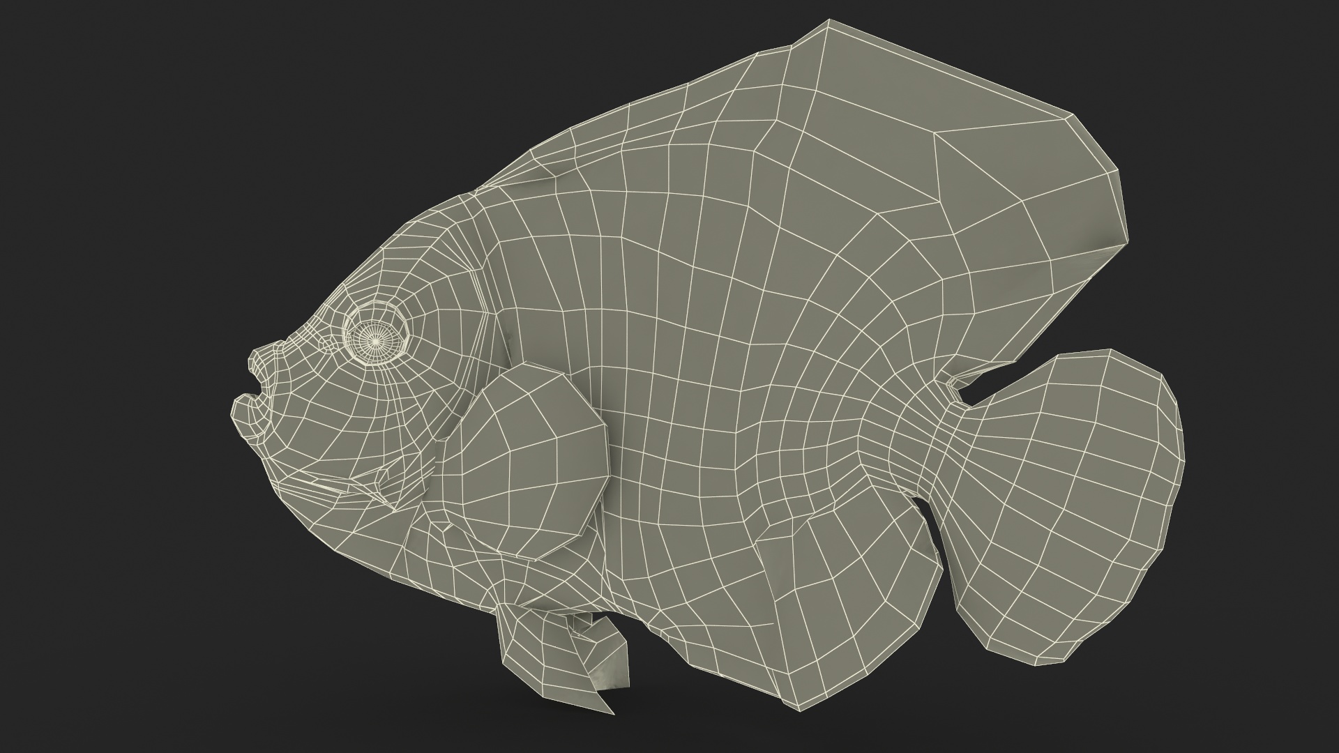 Emperor Angelfish Rigged 3D model