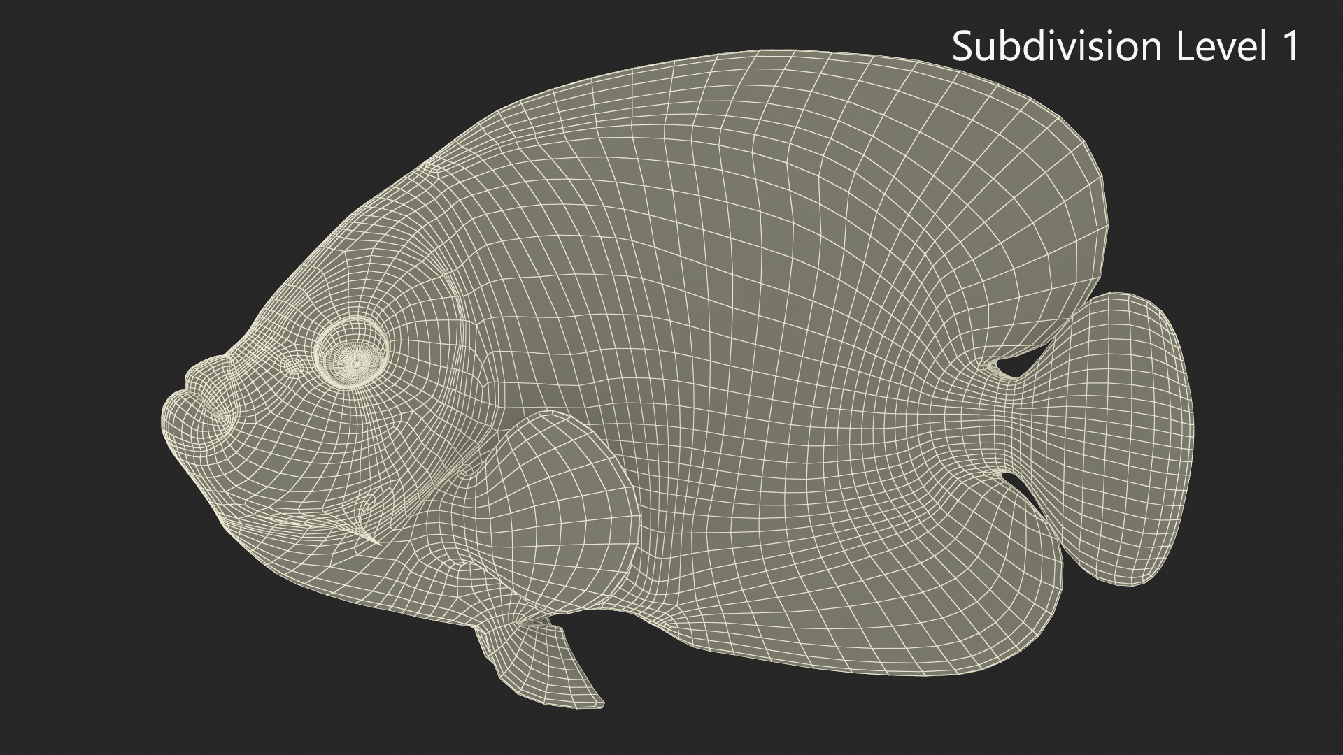 Emperor Angelfish Rigged 3D model