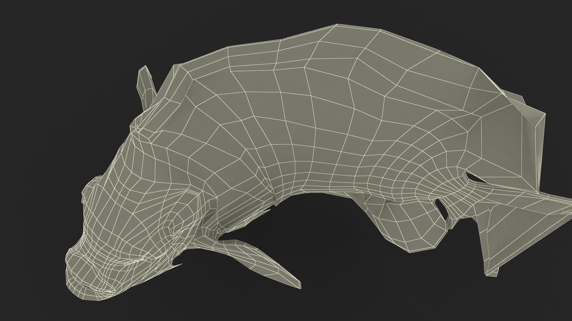 Emperor Angelfish Rigged 3D model