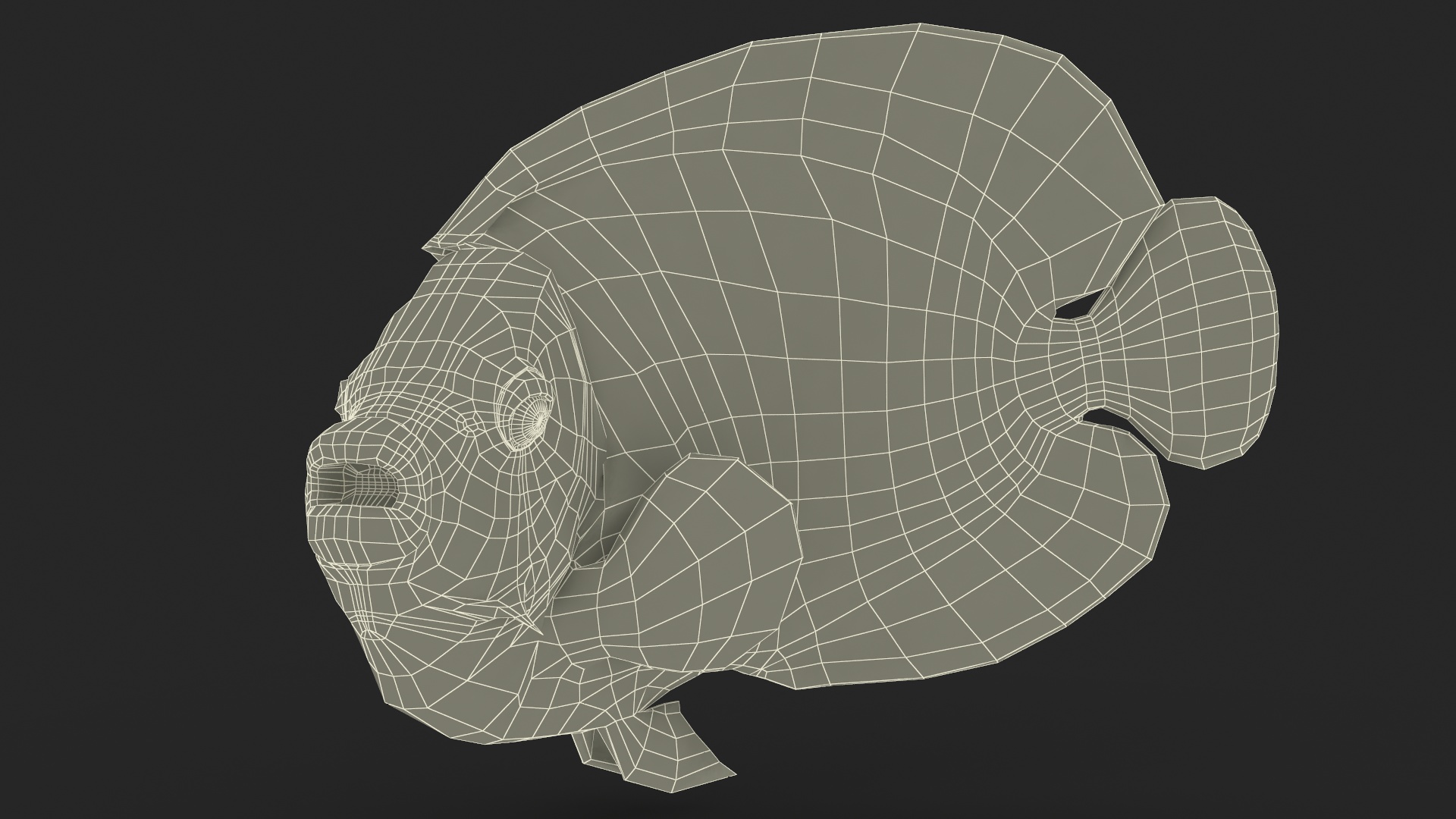 Emperor Angelfish Rigged 3D model