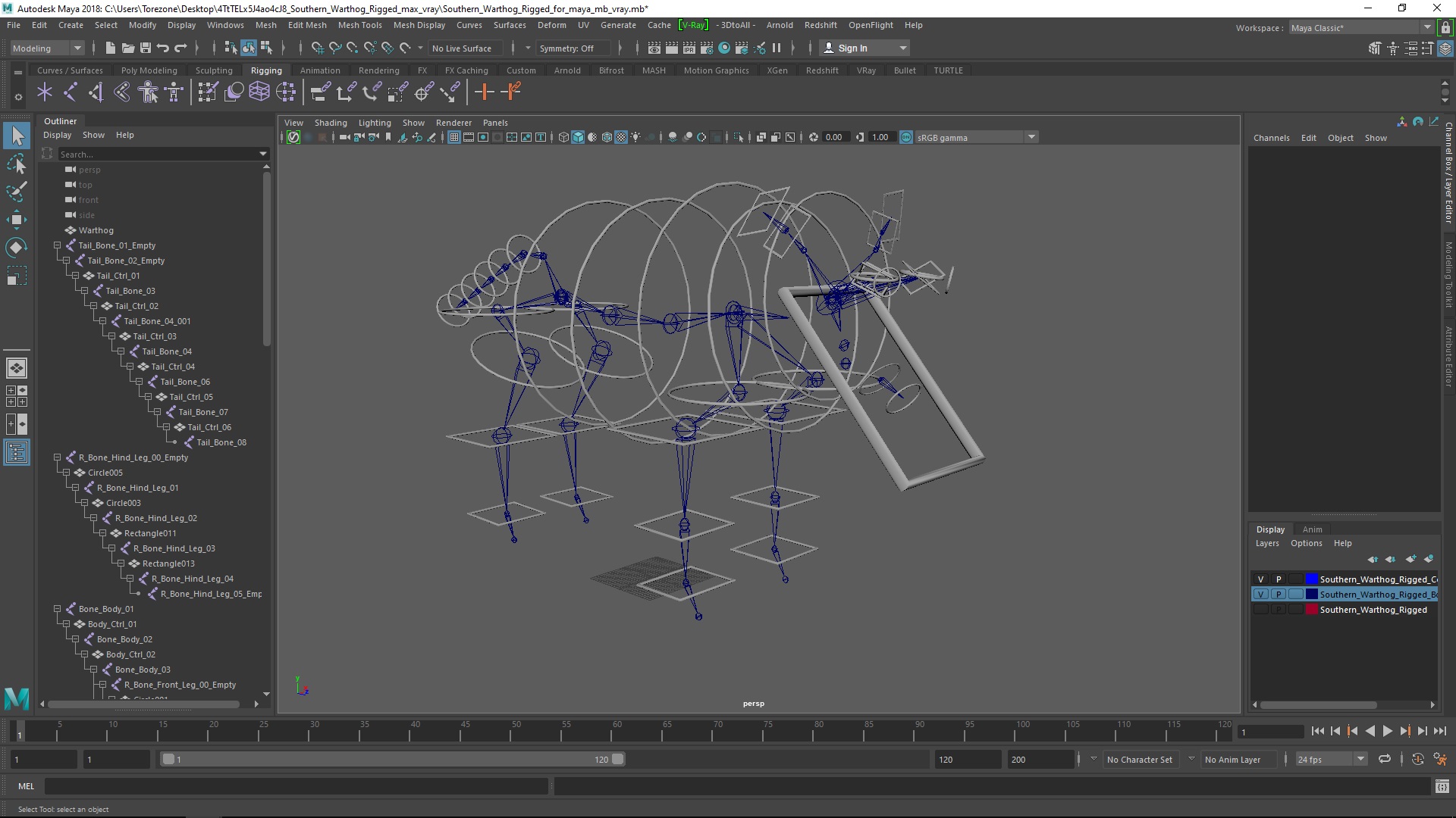 Southern Warthog Rigged for Maya 3D