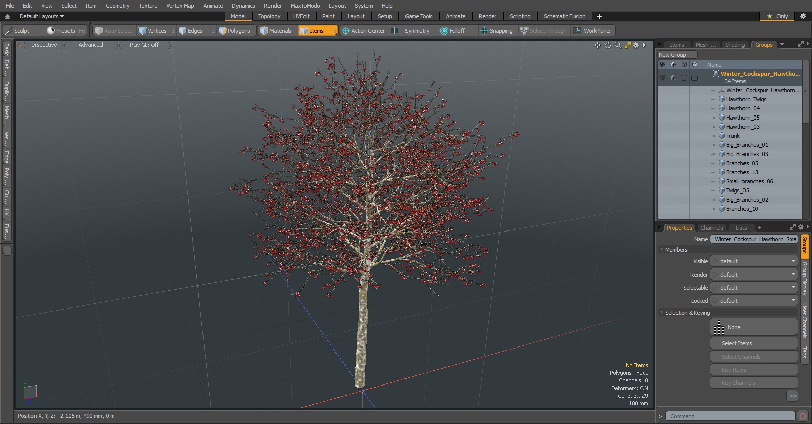 Winter Cockpur Hawthorn Small with Berries 3D