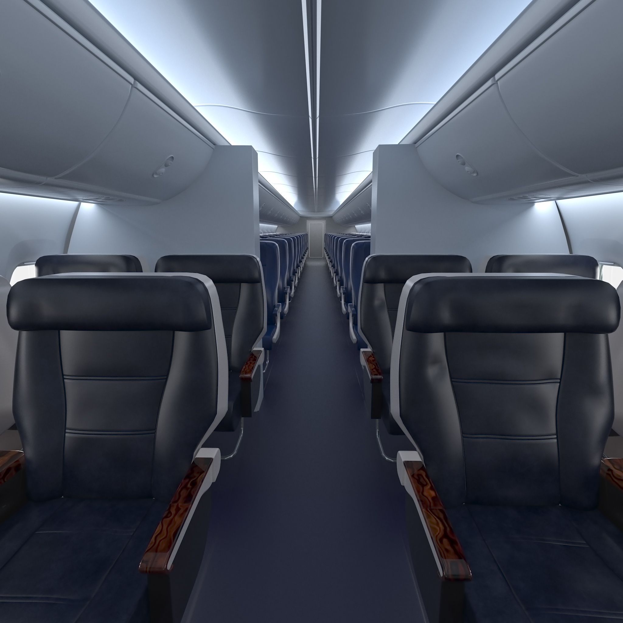 Boeing 737 Passenger Cabin
