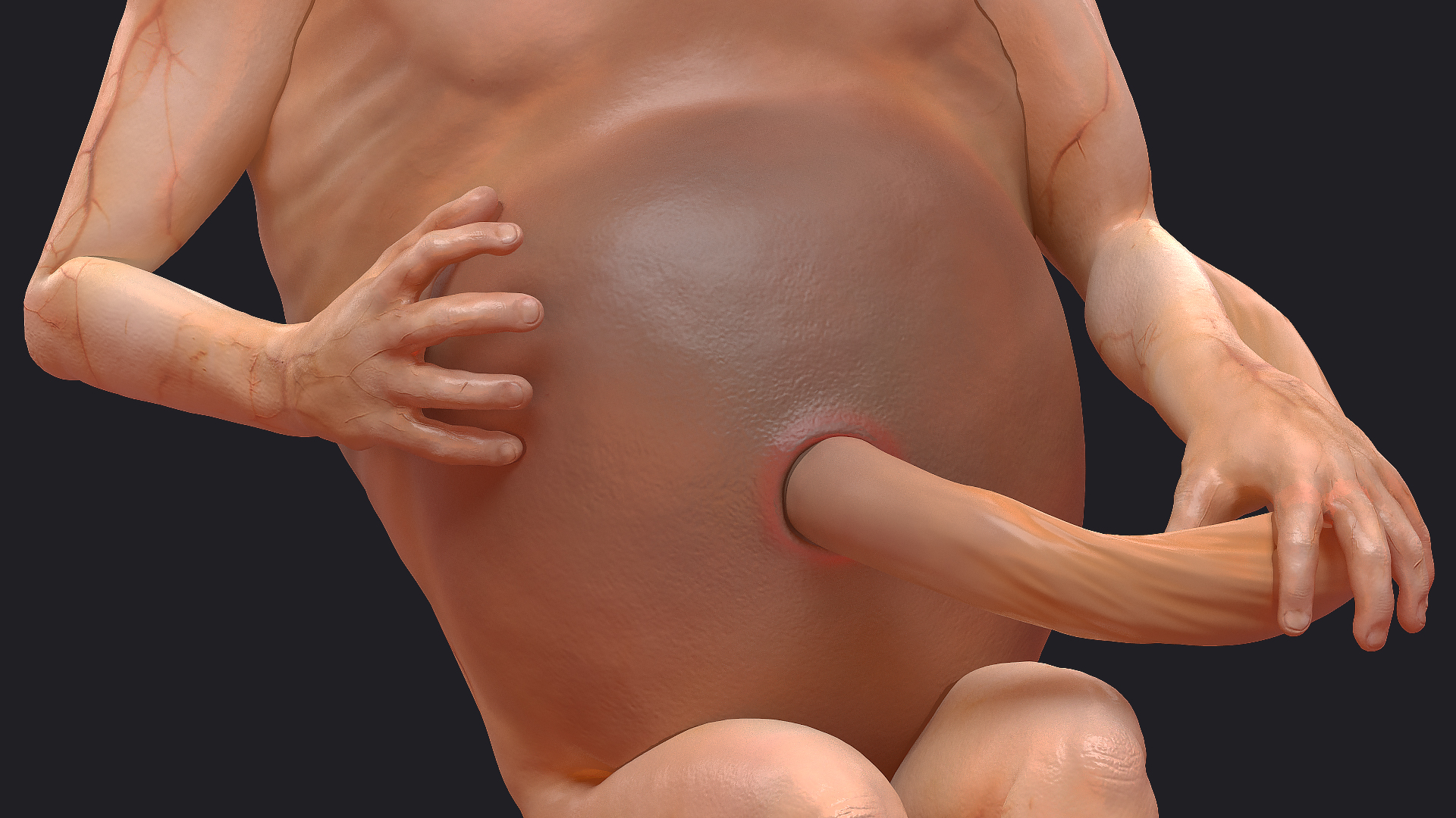 Second Trimester Human Fetus 16 Weeks 3D